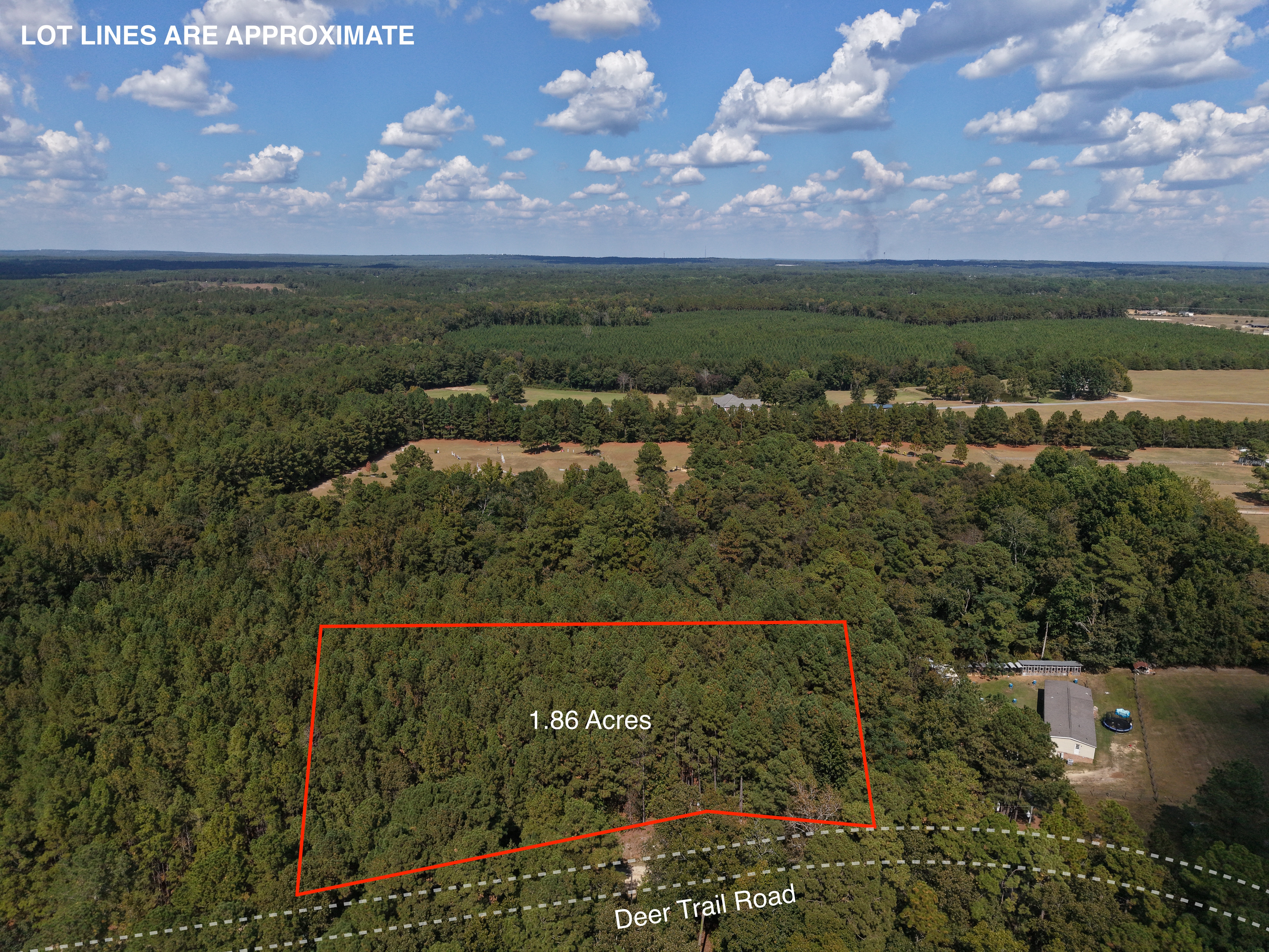 DB092925L39 | Photo 2