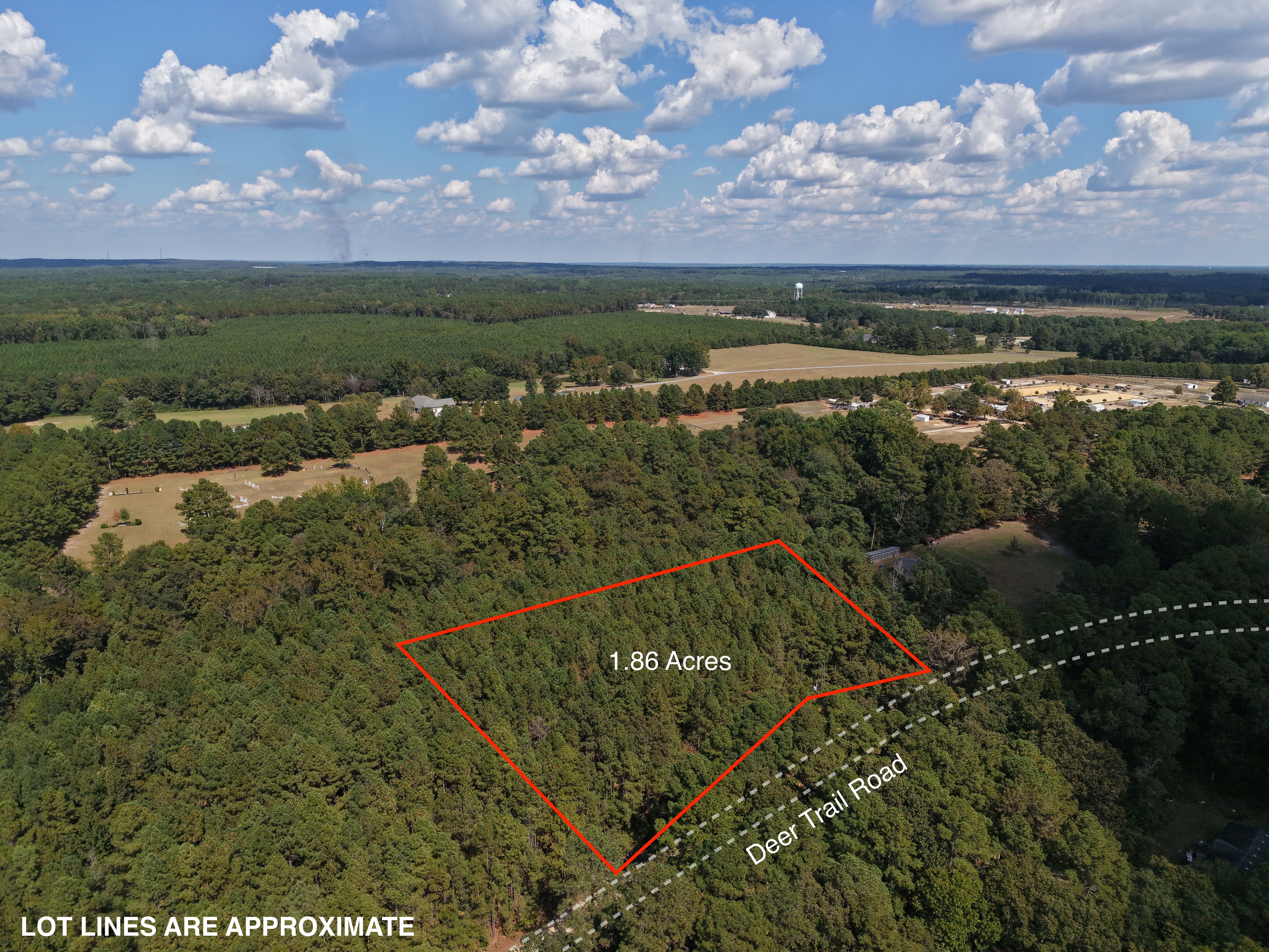 DB092925L39 | Photo 3