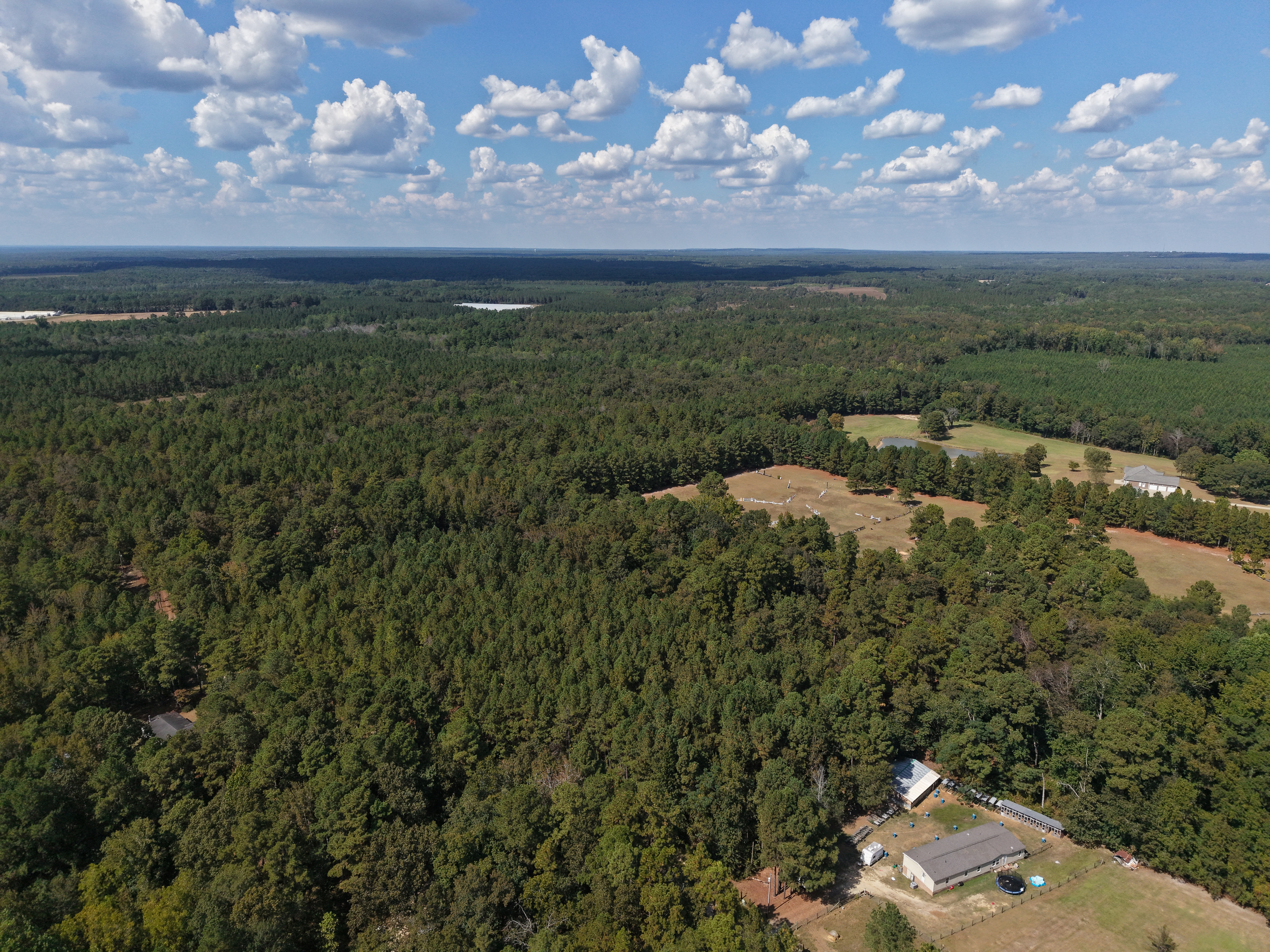 DB092925L39 | Photo 4