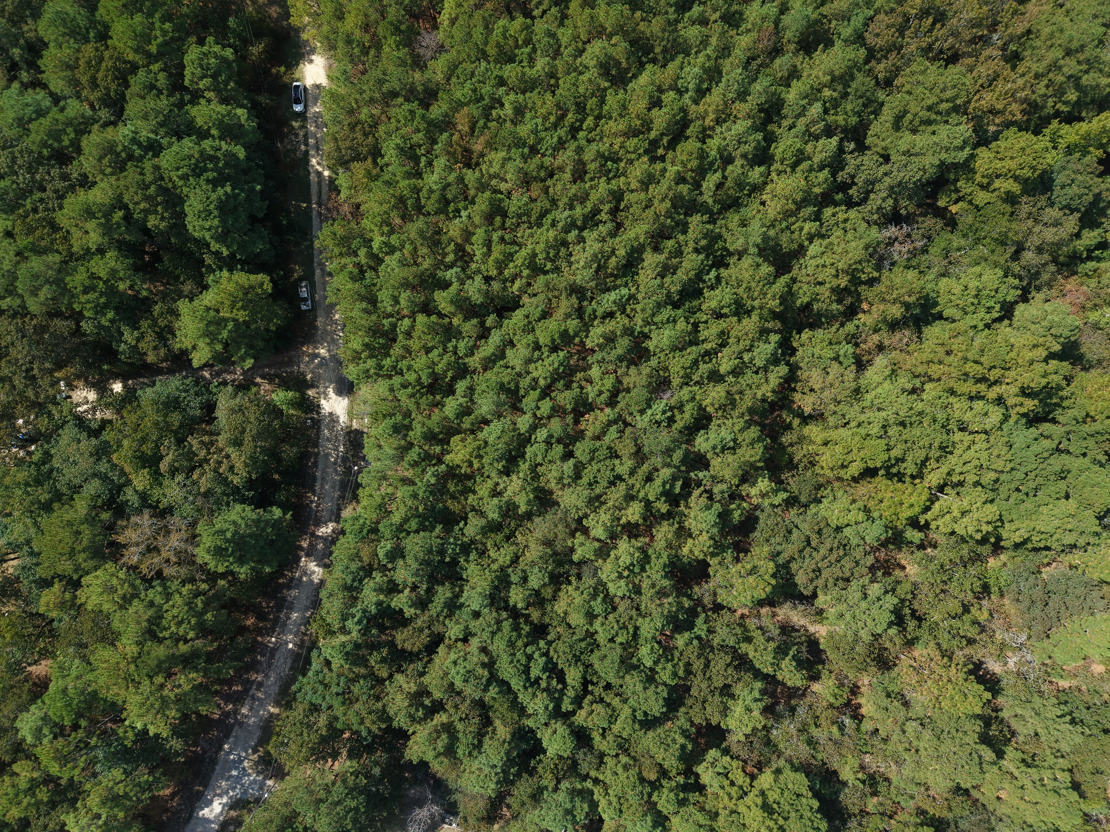 DB092925L39 | Photo 6