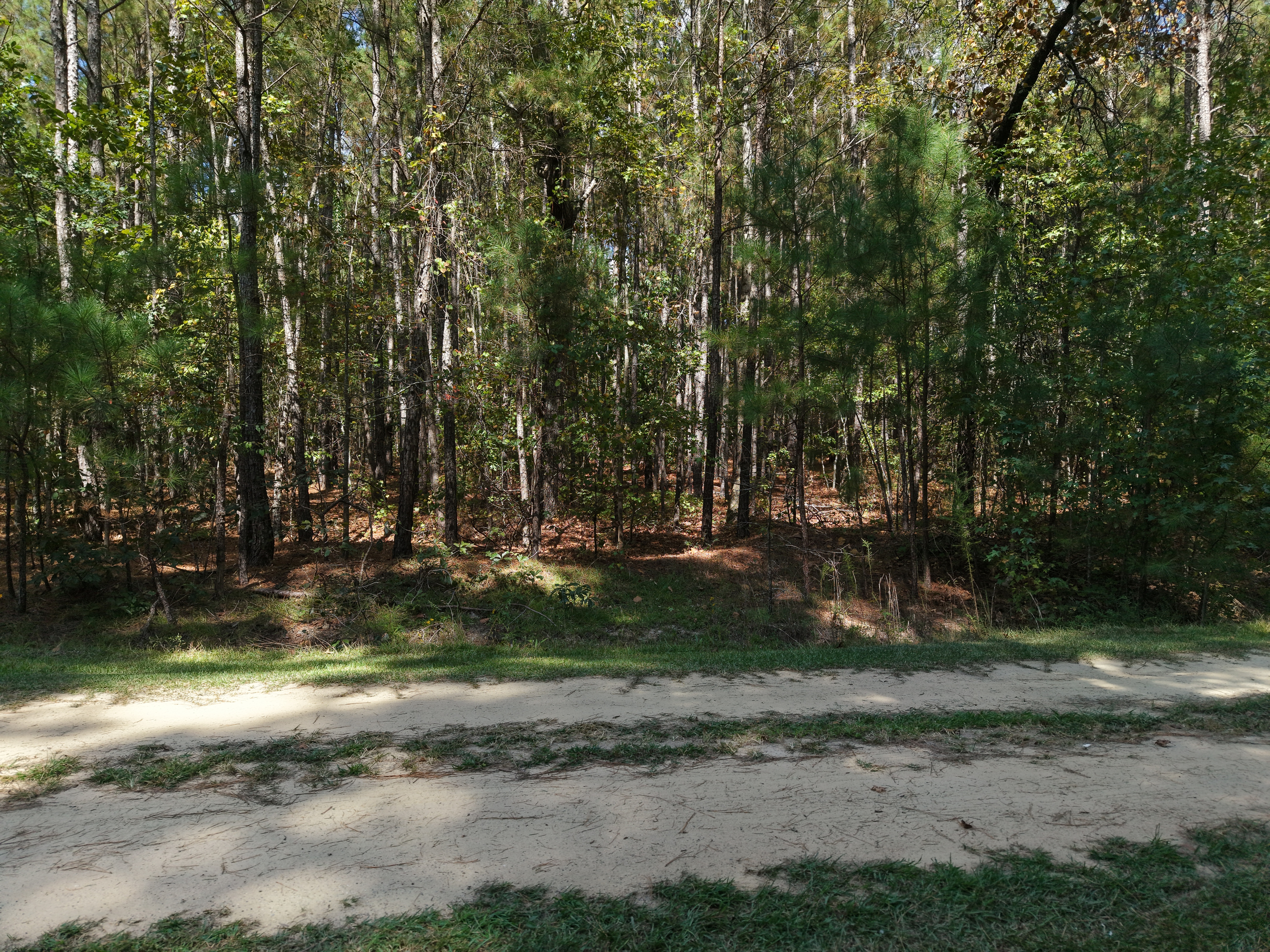 DB092925L39 | Photo 8