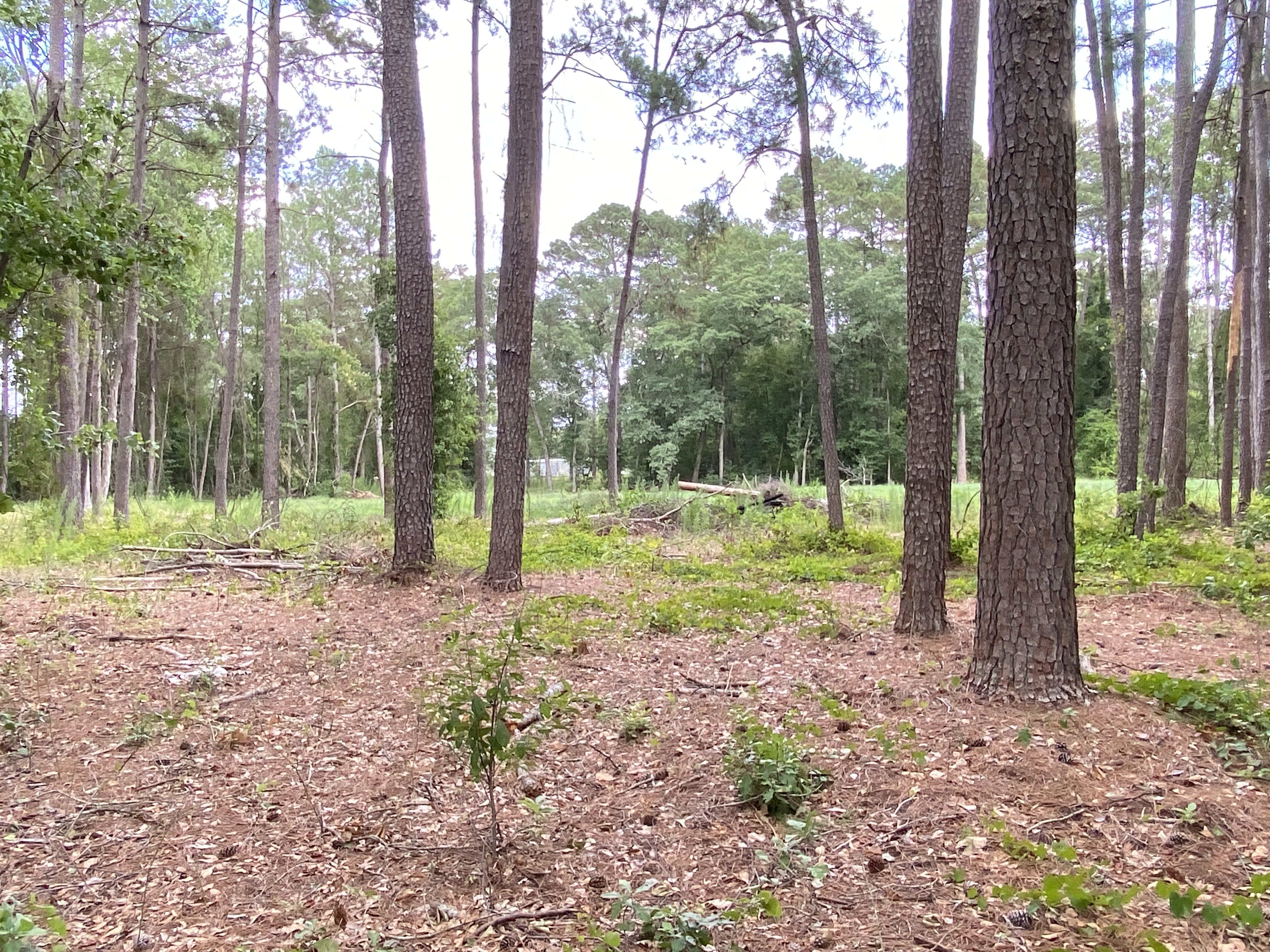 722531560 | Photo 24