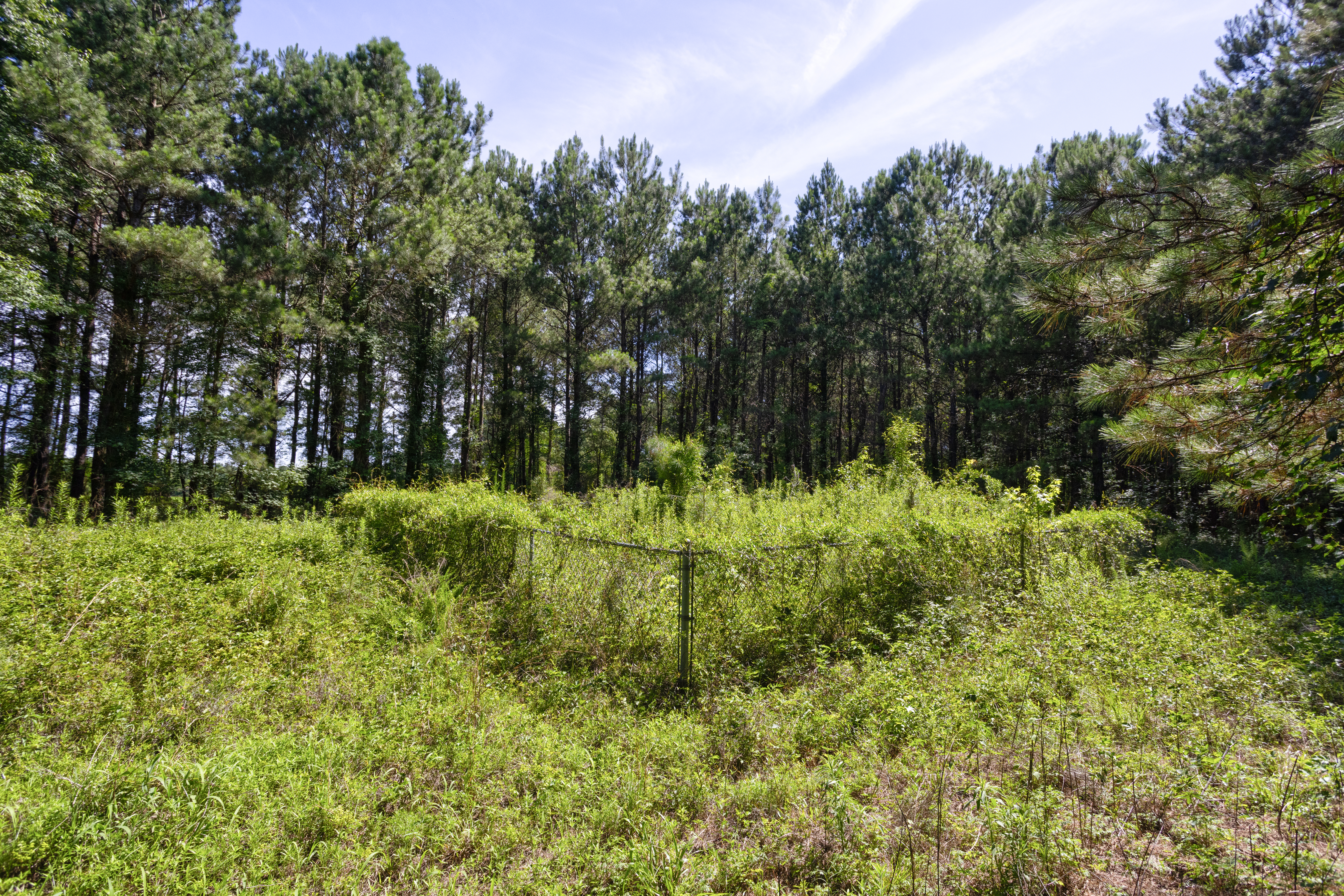 100521964 | Photo 12