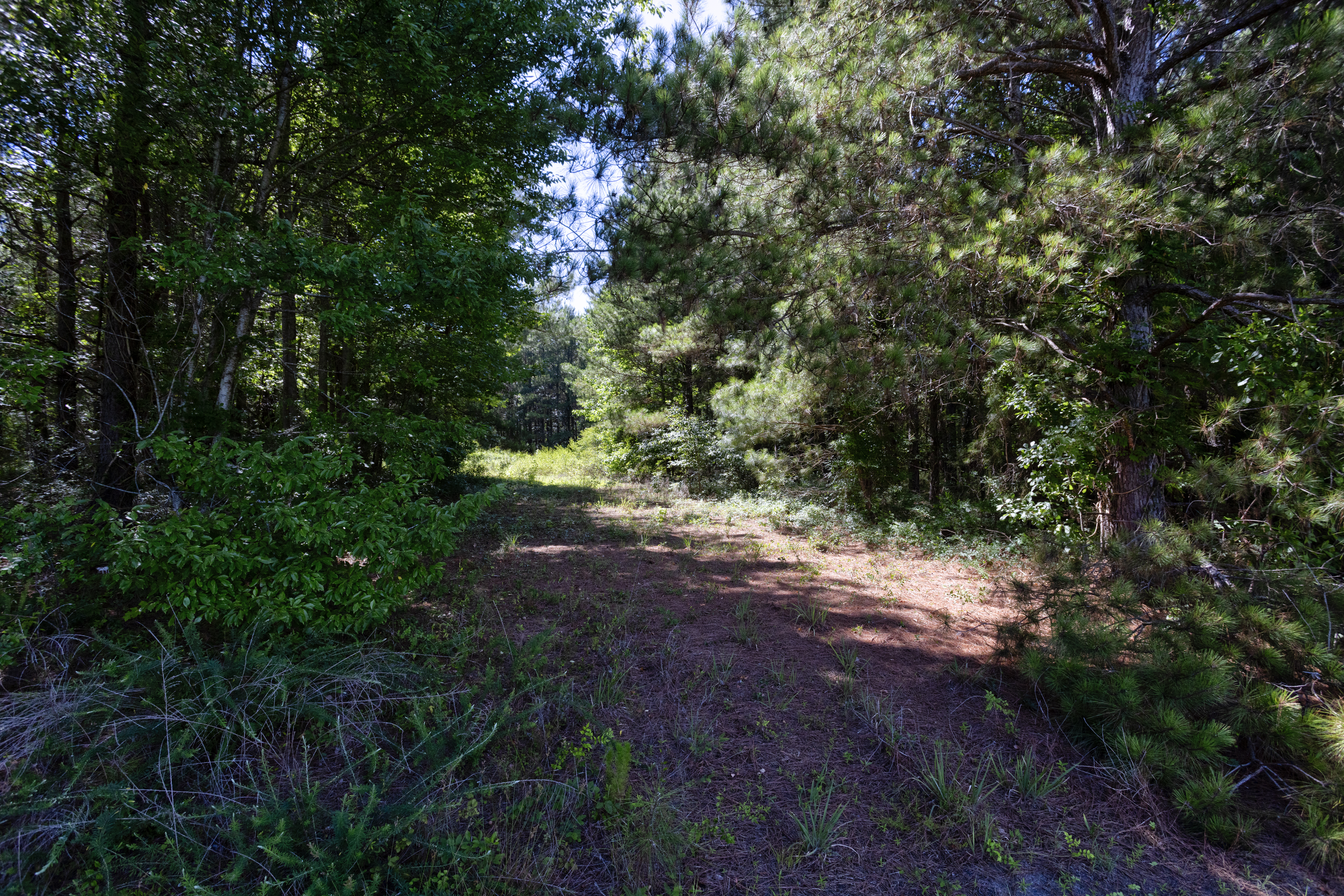 100521964 | Photo 16