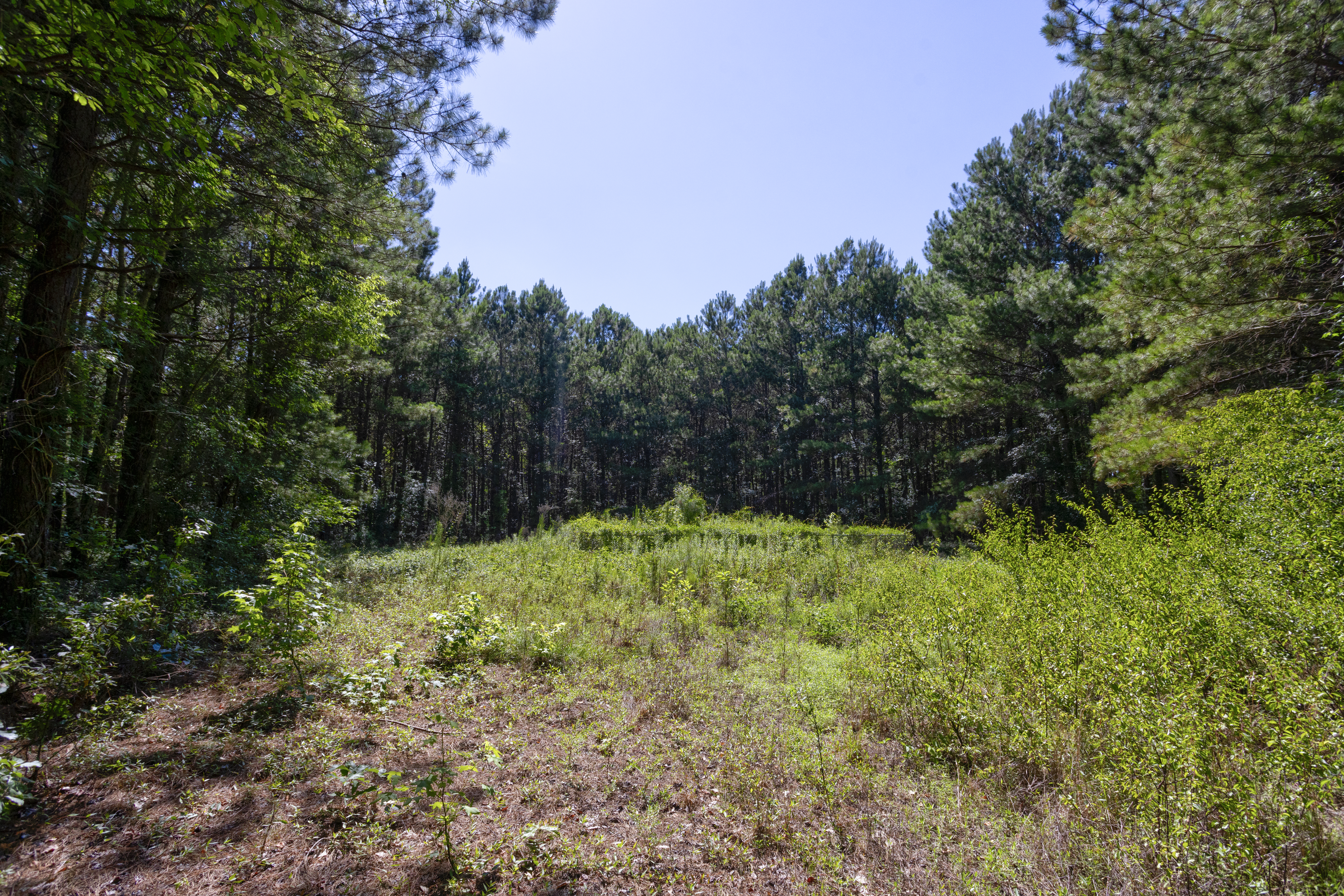 100521964 | Photo 15