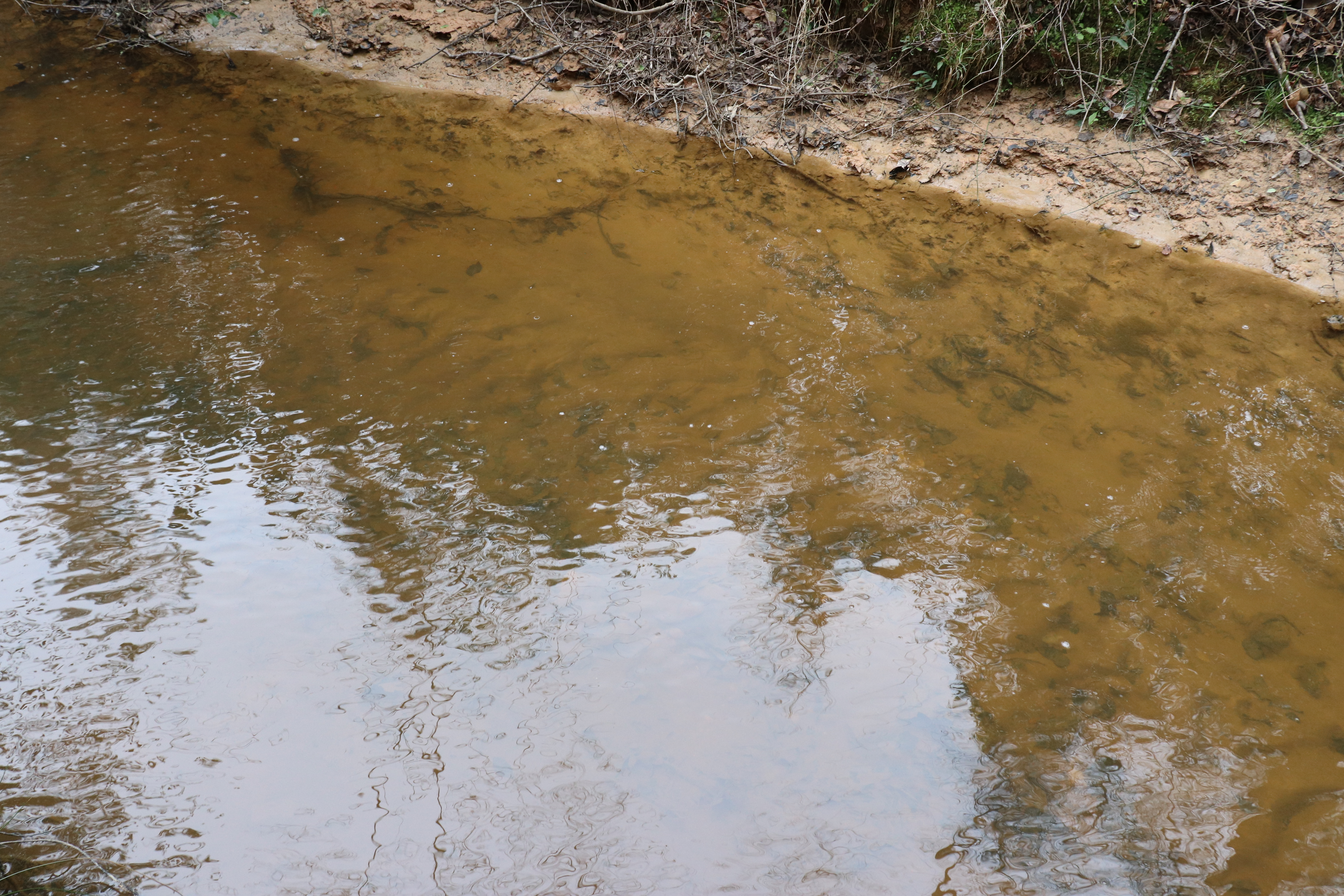 752531560 | Photo 14