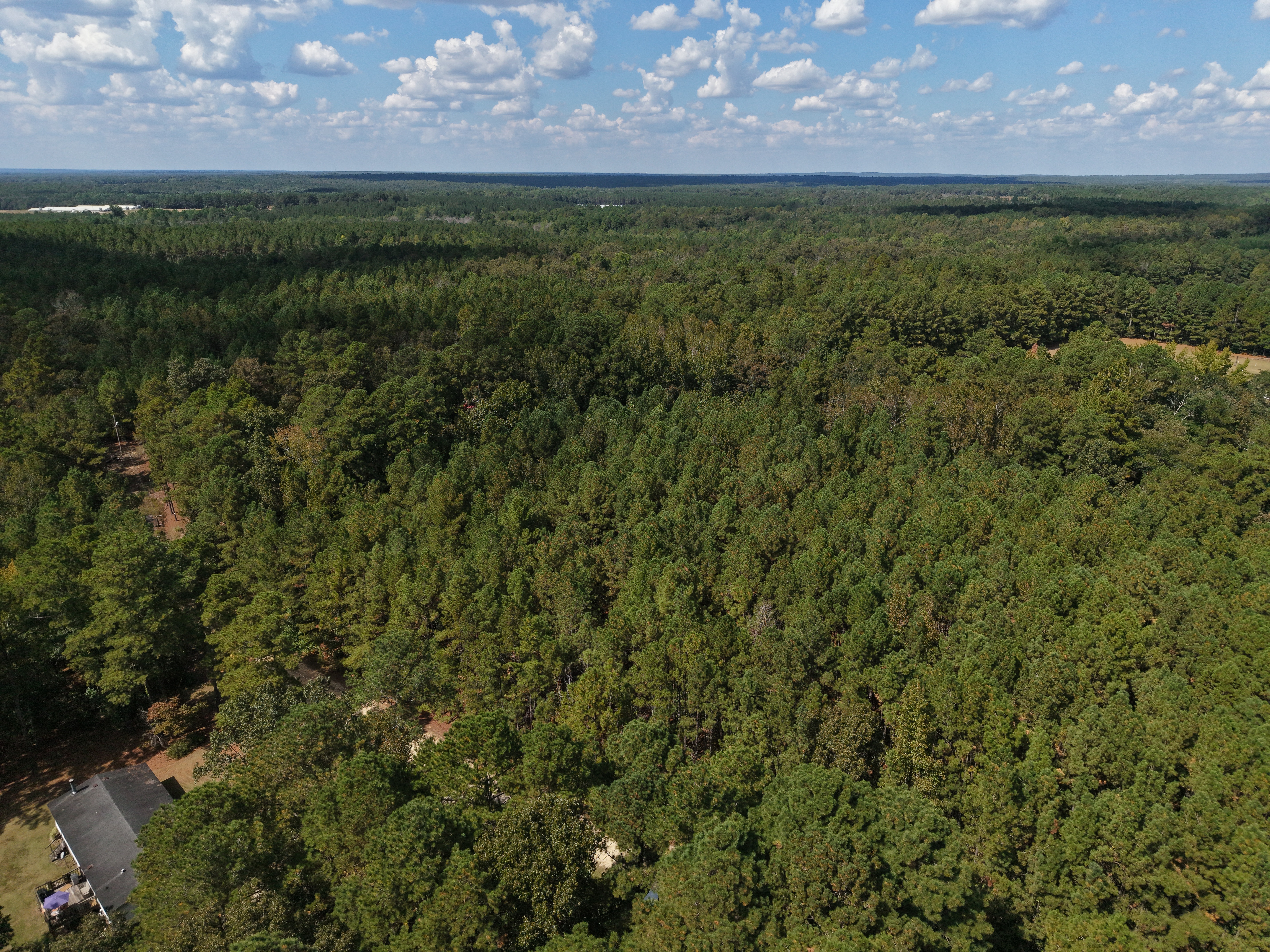 DB092925L40 | Photo 6