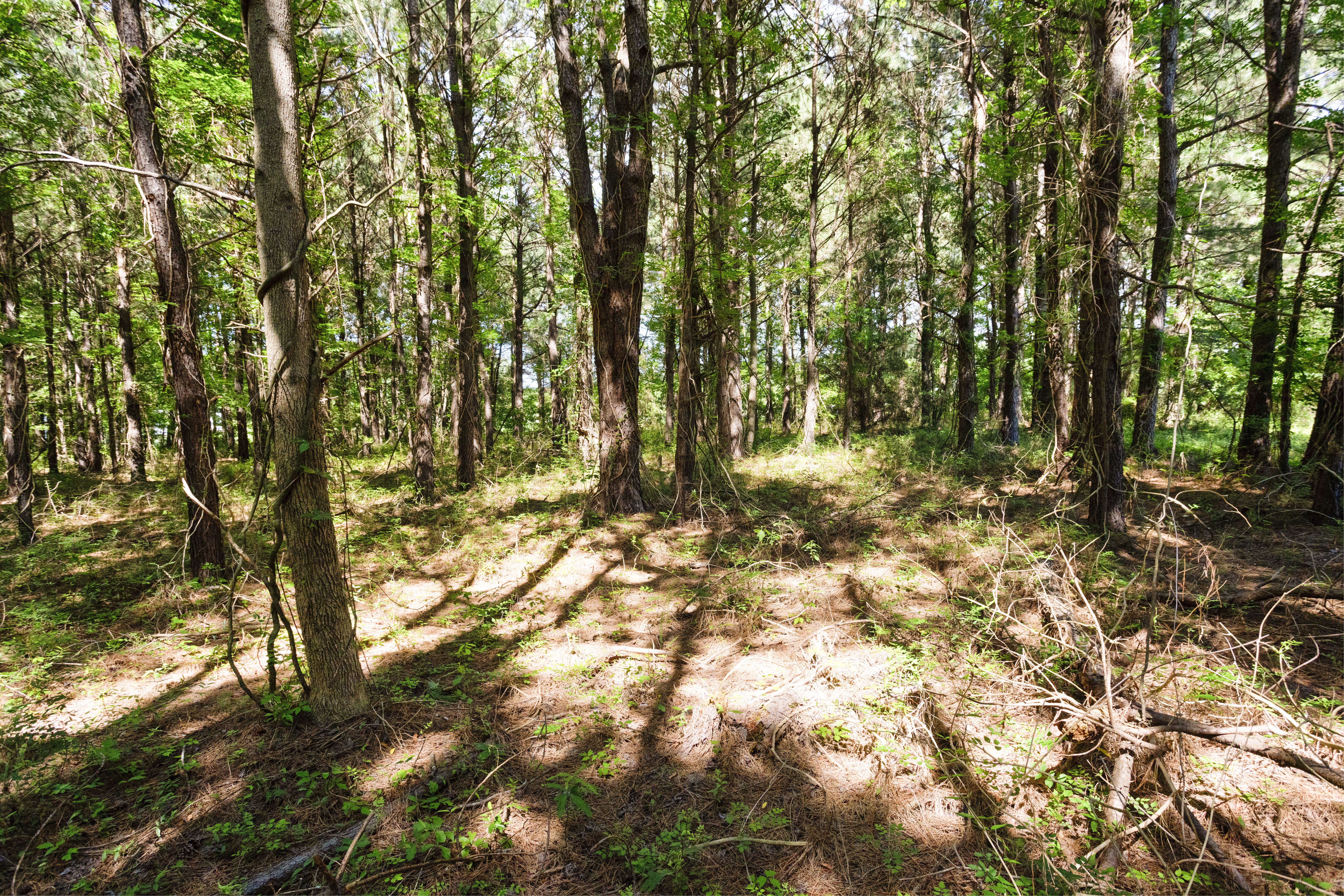 100521964 | Photo 20