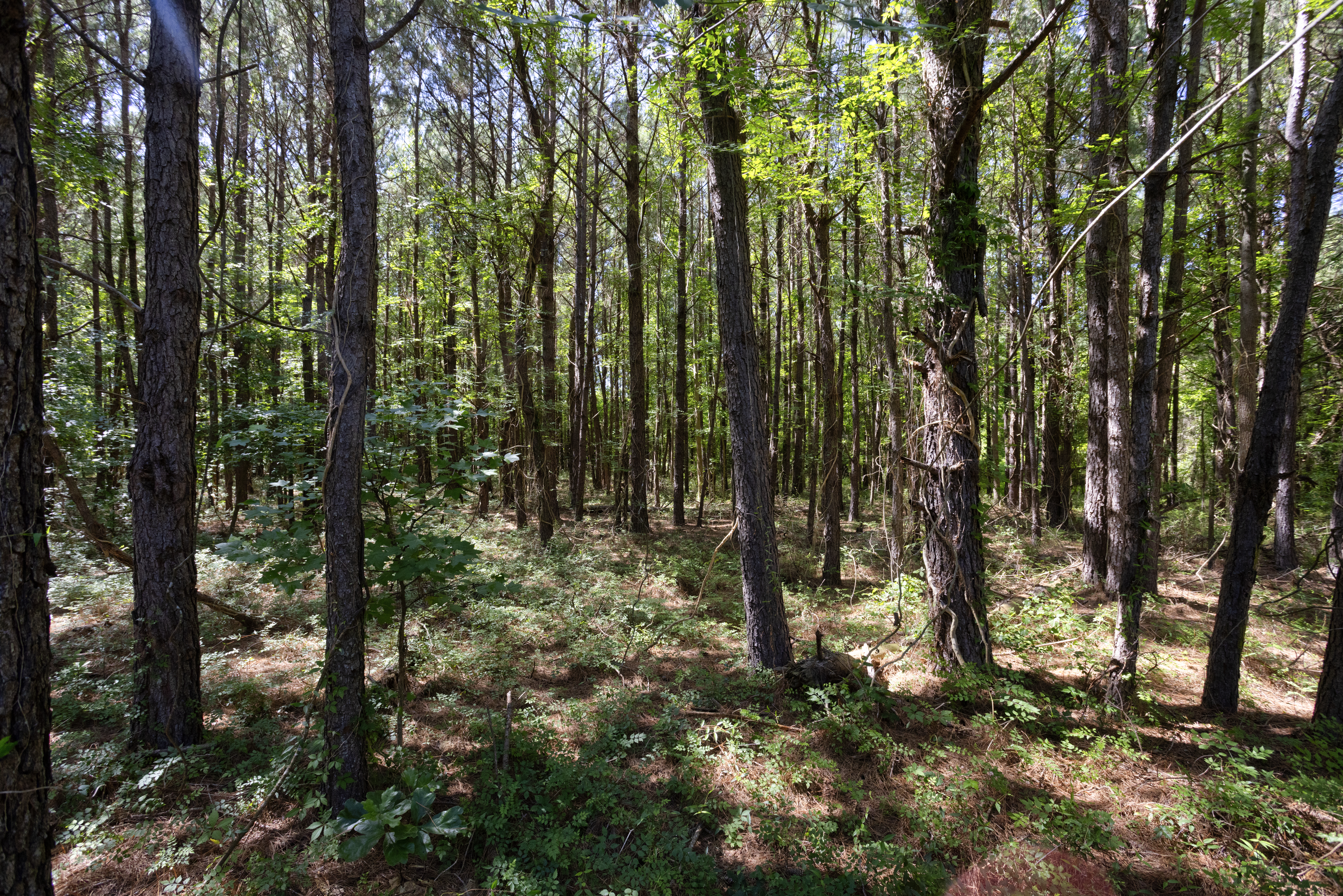 100521964 | Photo 22