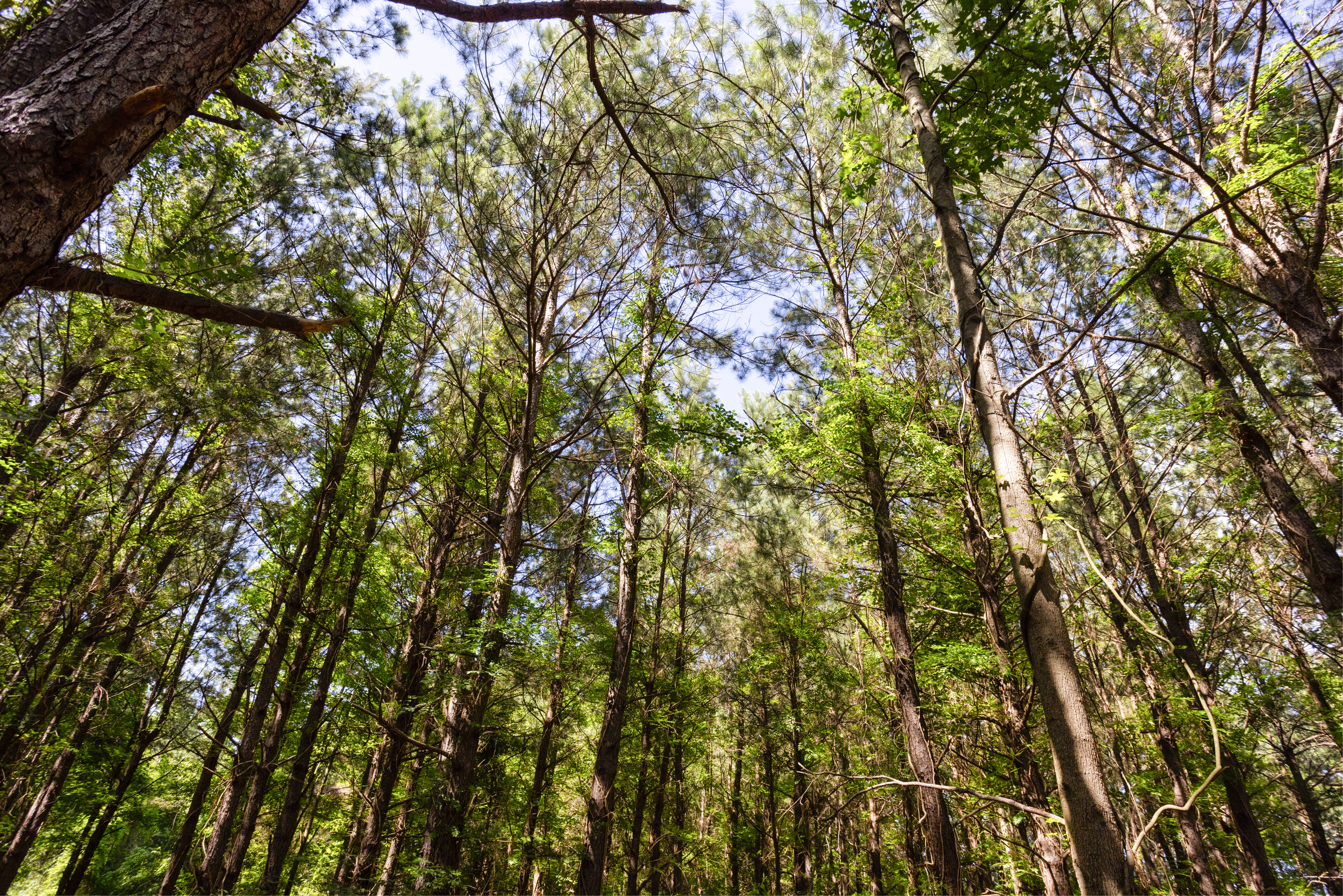 100521964 | Photo 21