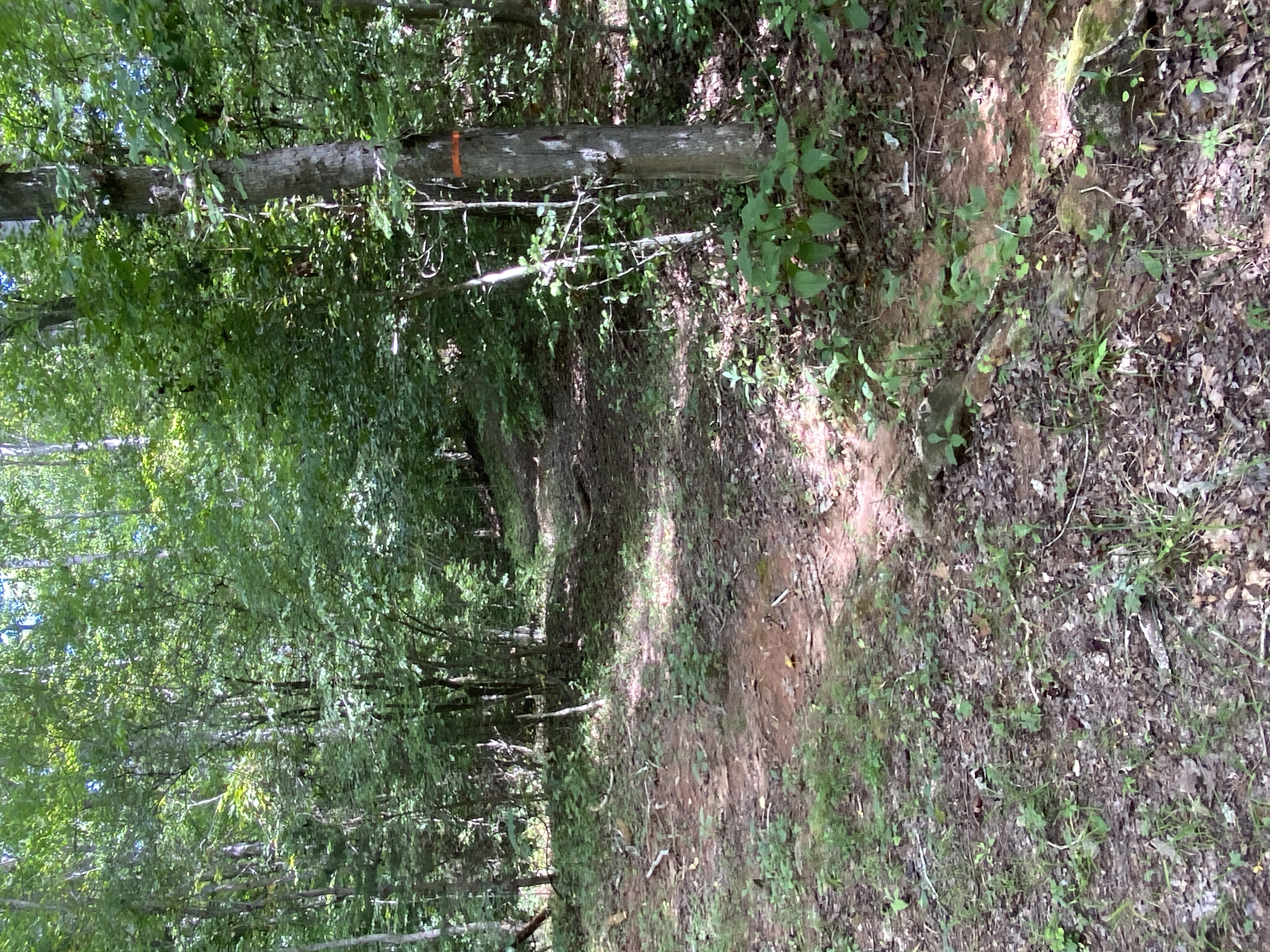 752531560 | Photo 15