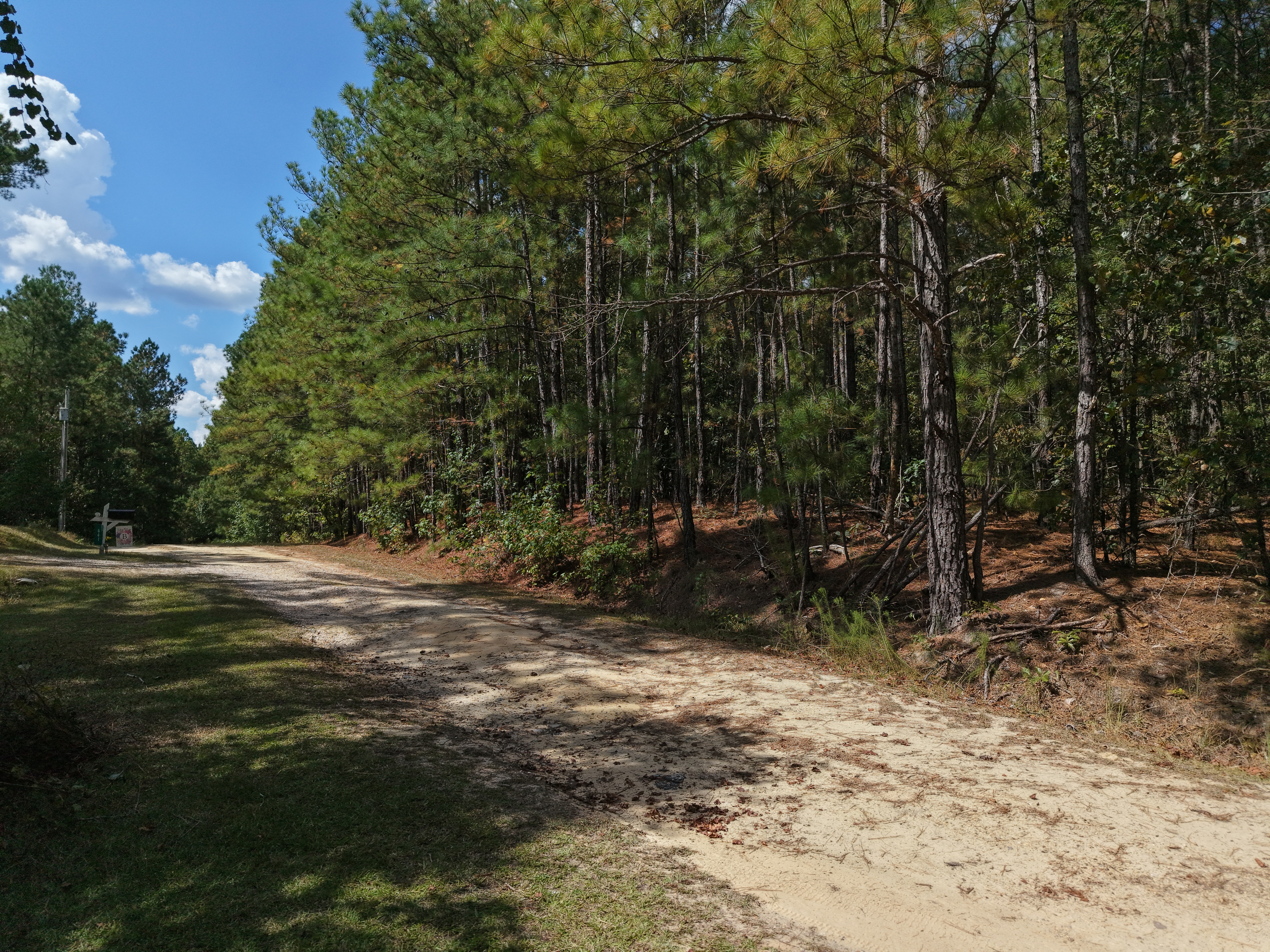 DB092925L40 | Photo 4