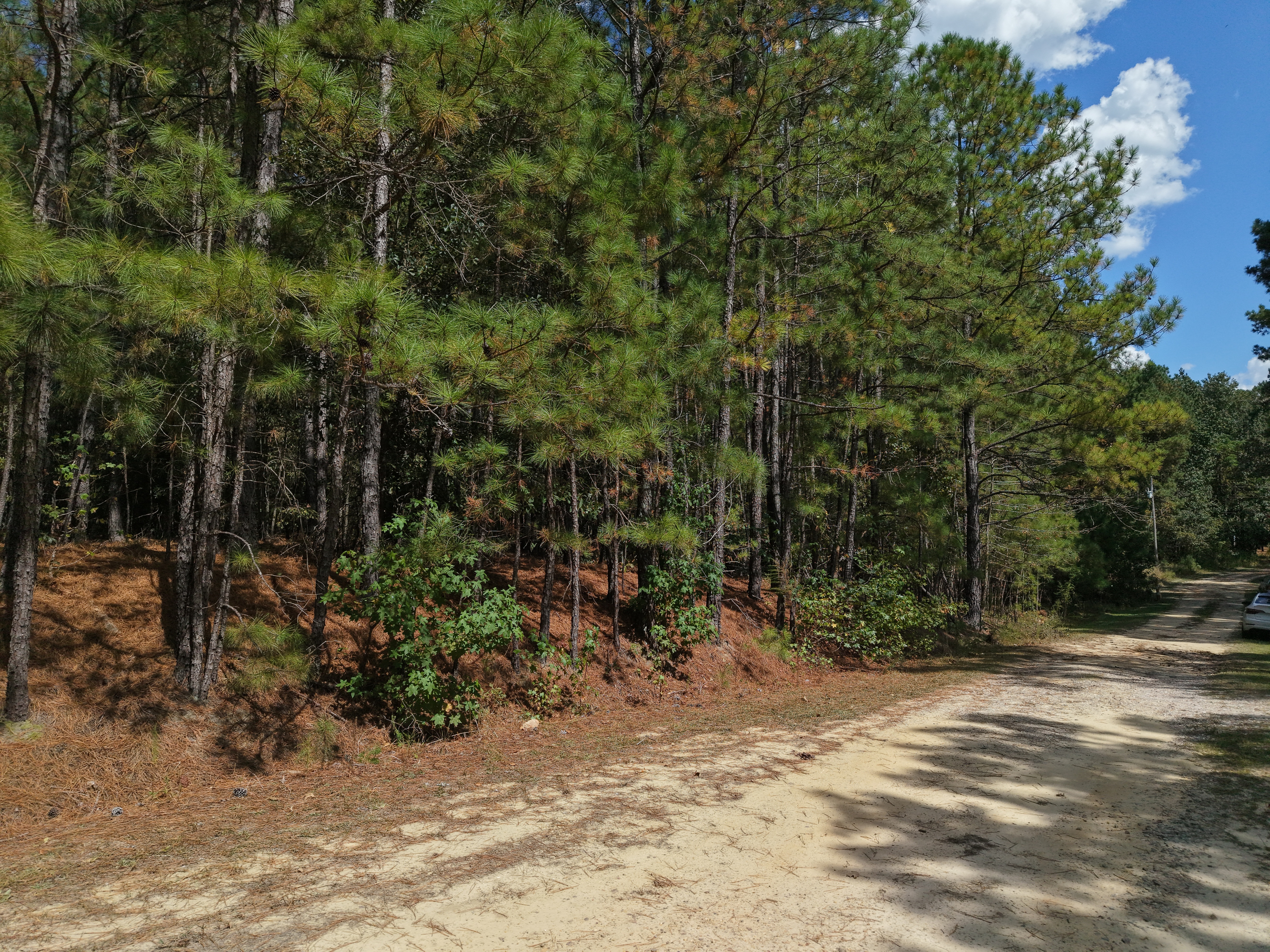 DB092925L40 | Photo 5