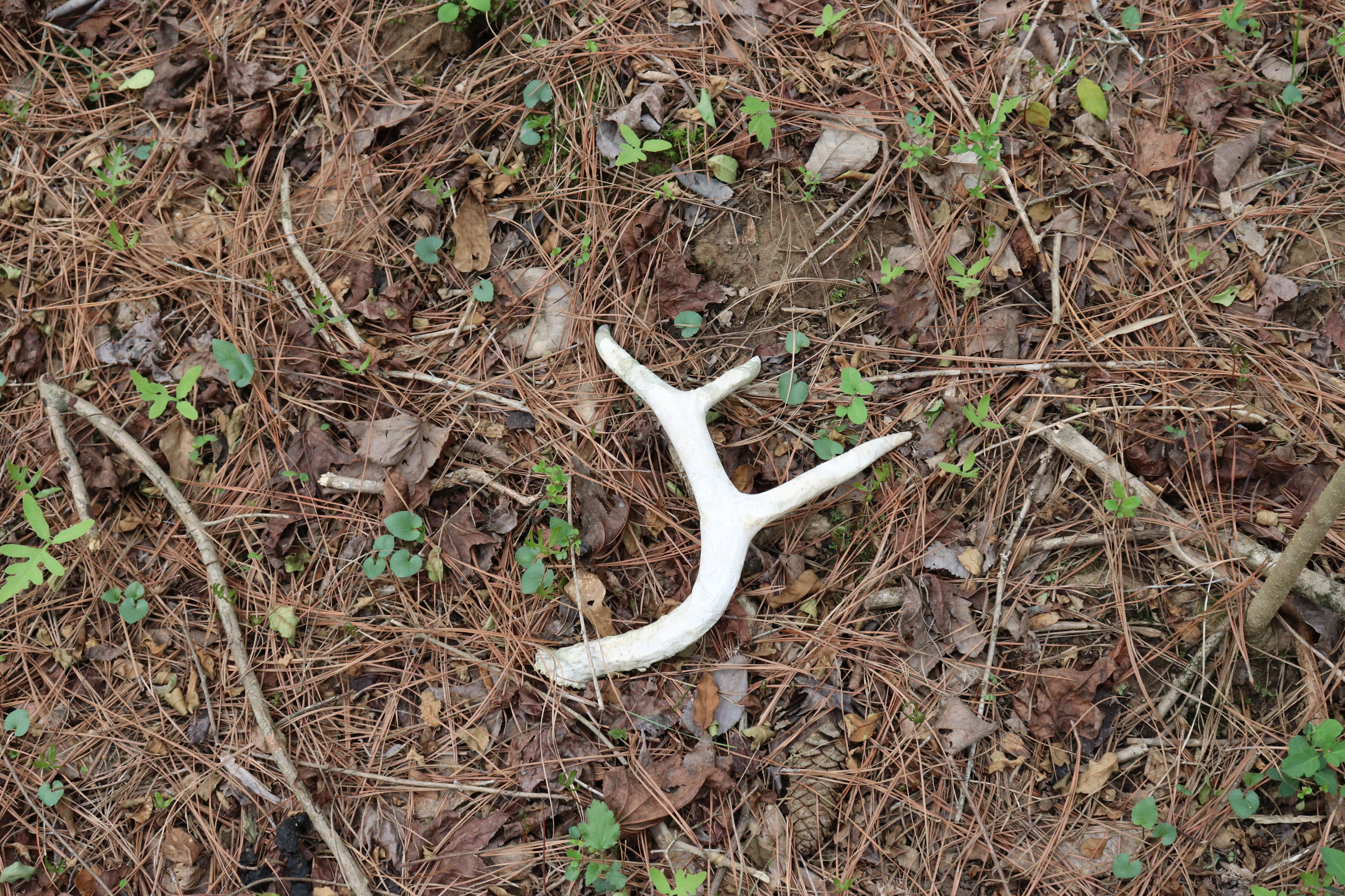 752531560 | Photo 12