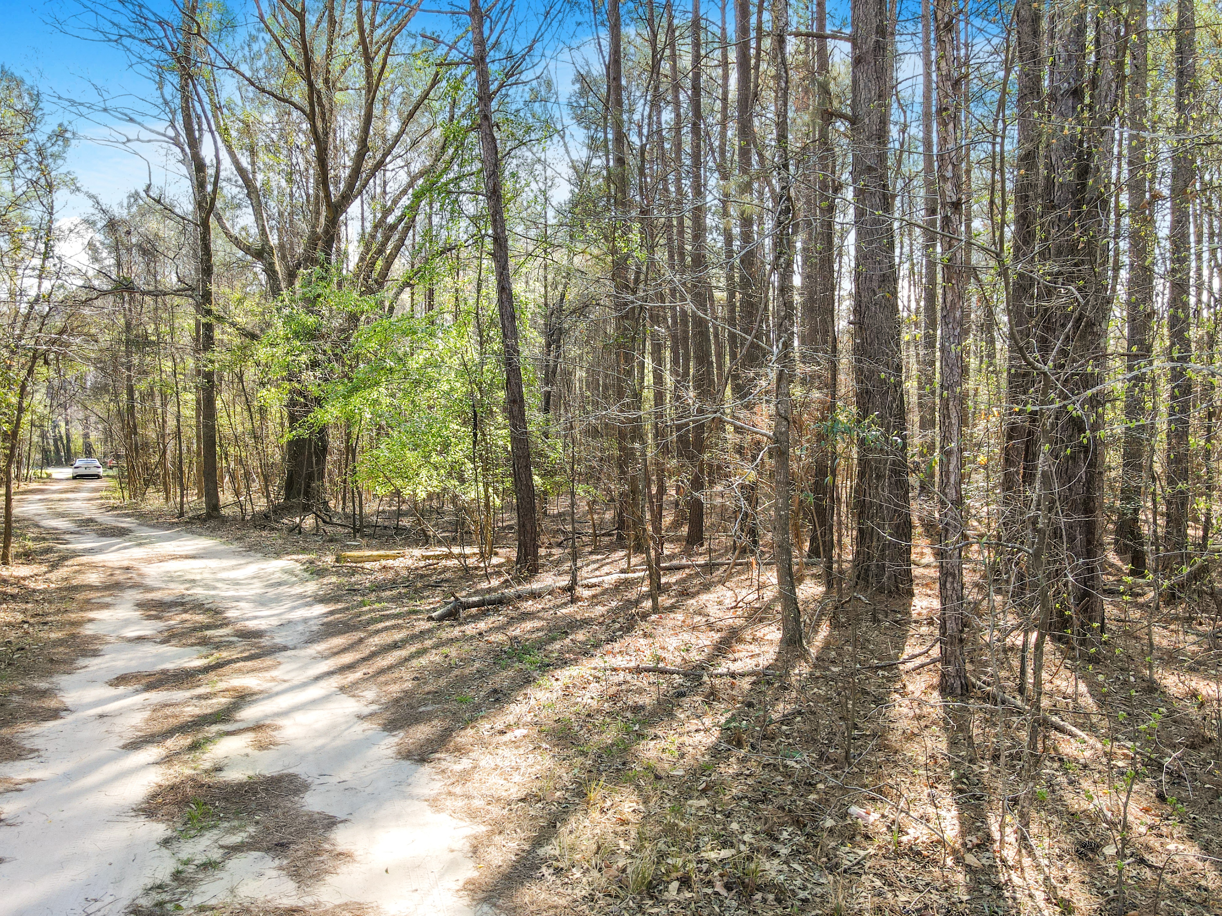 100521946 | Photo 10