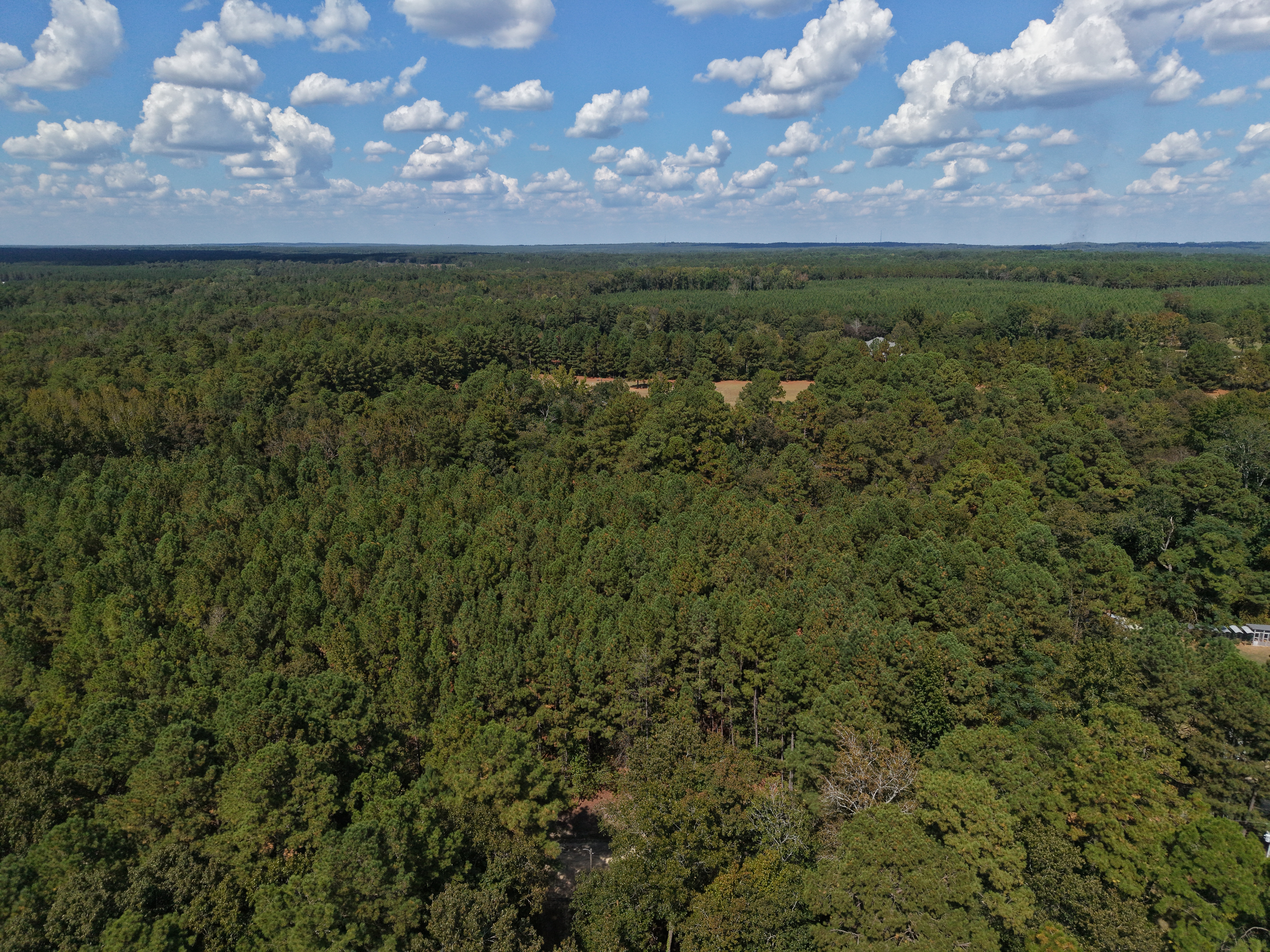 DB092925L39 | Photo 11