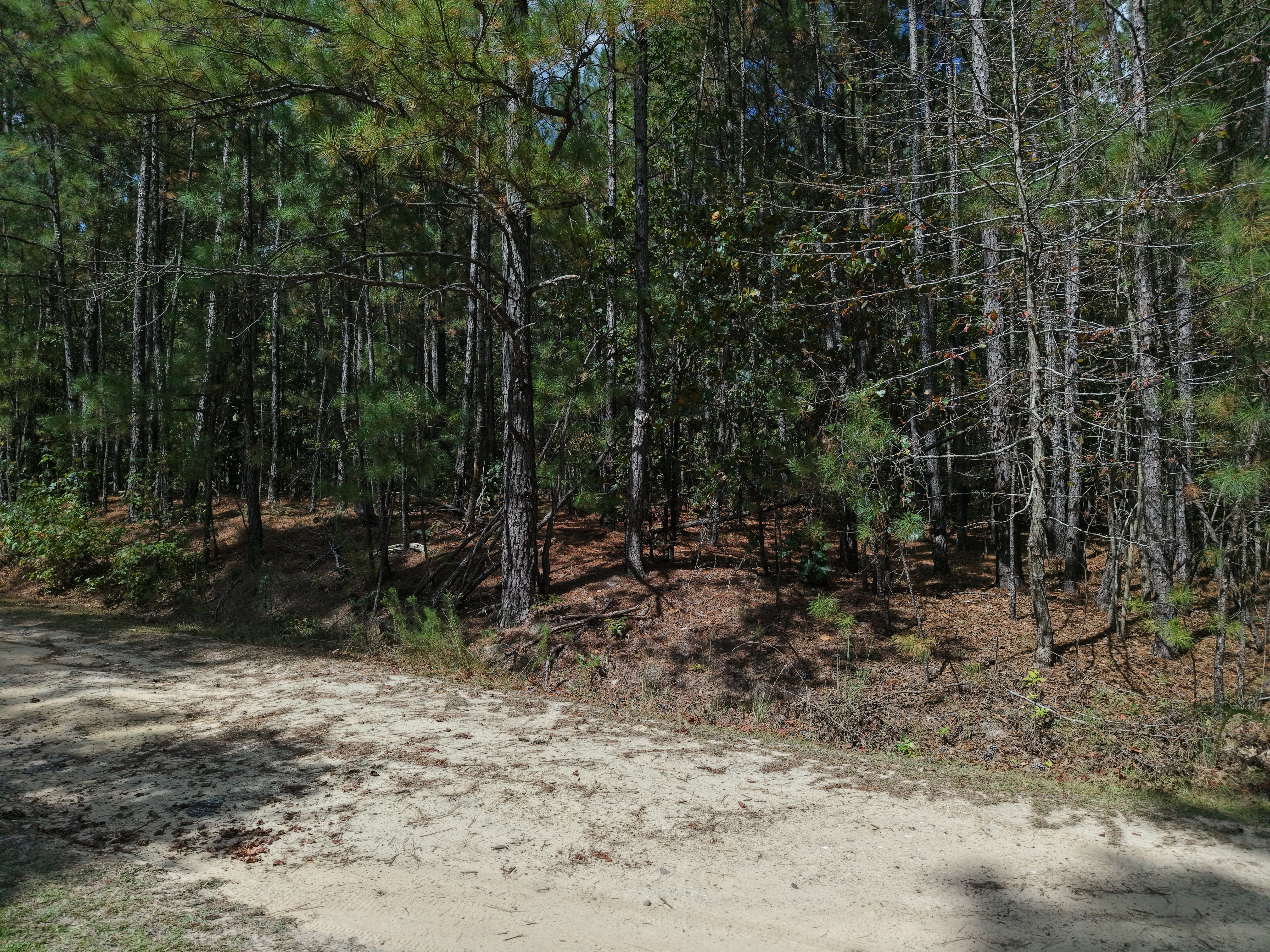 DB092925L40 | Photo 8