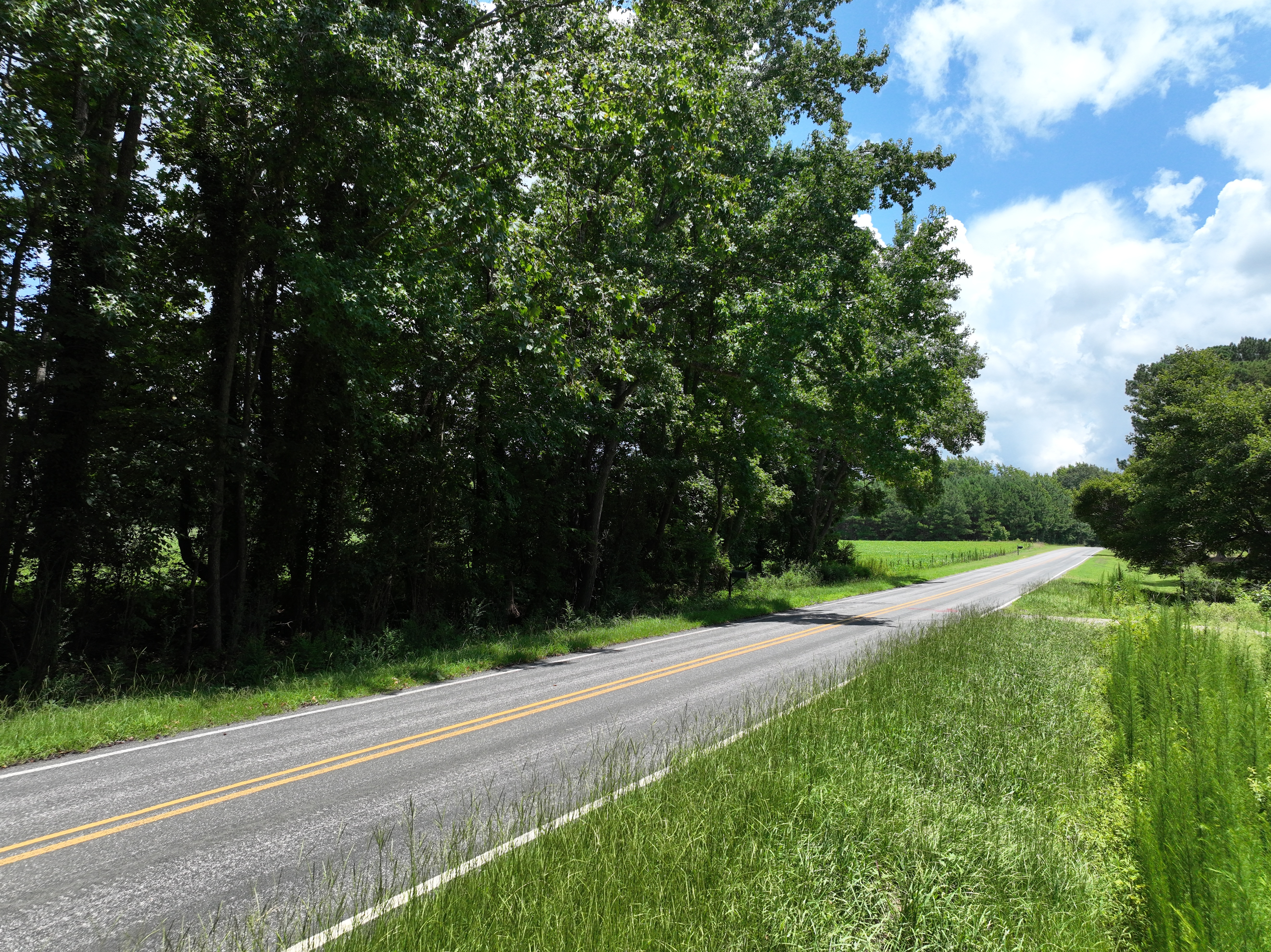 100522278 | Photo 10