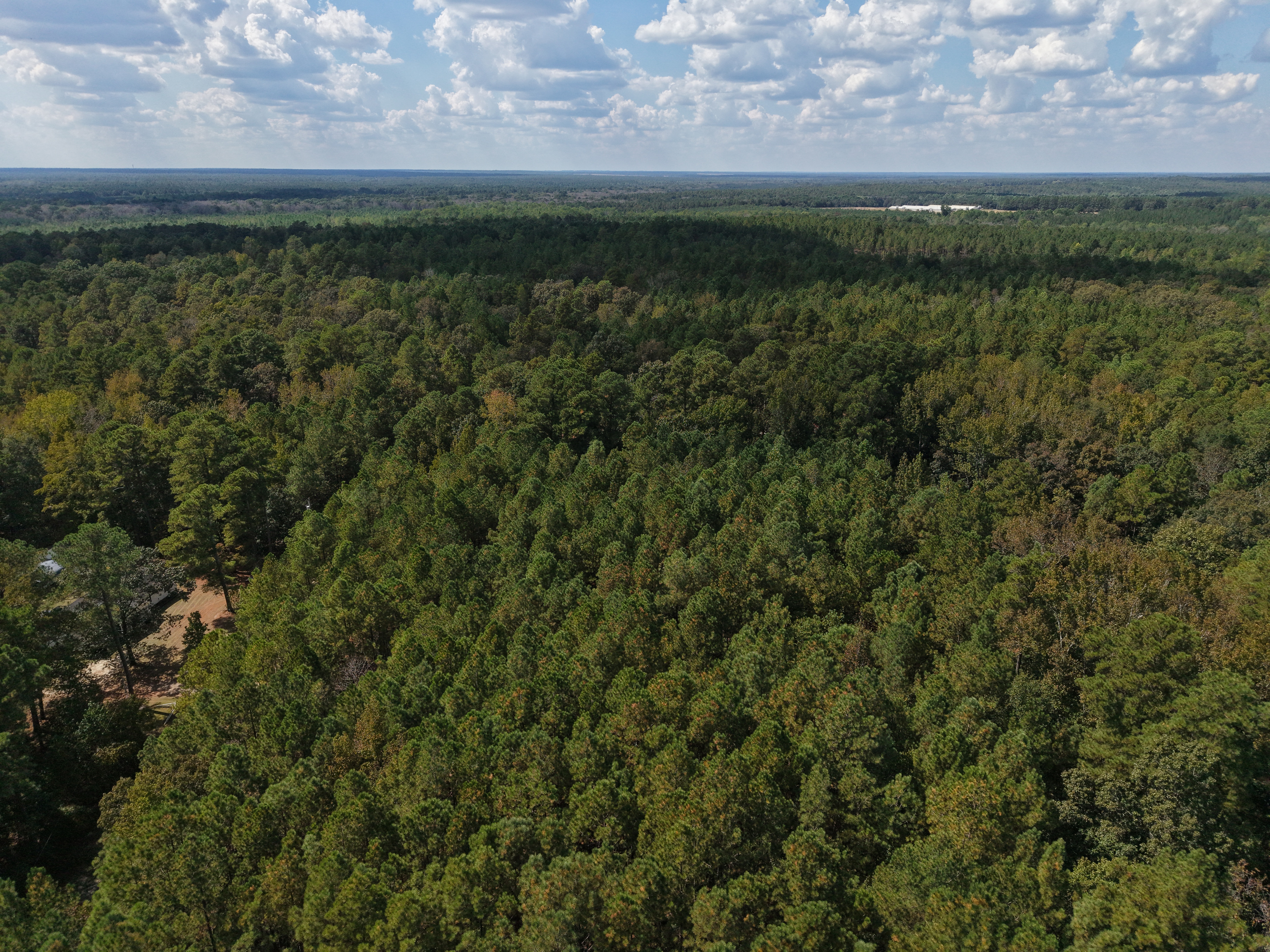 DB092925L40 | Photo 9