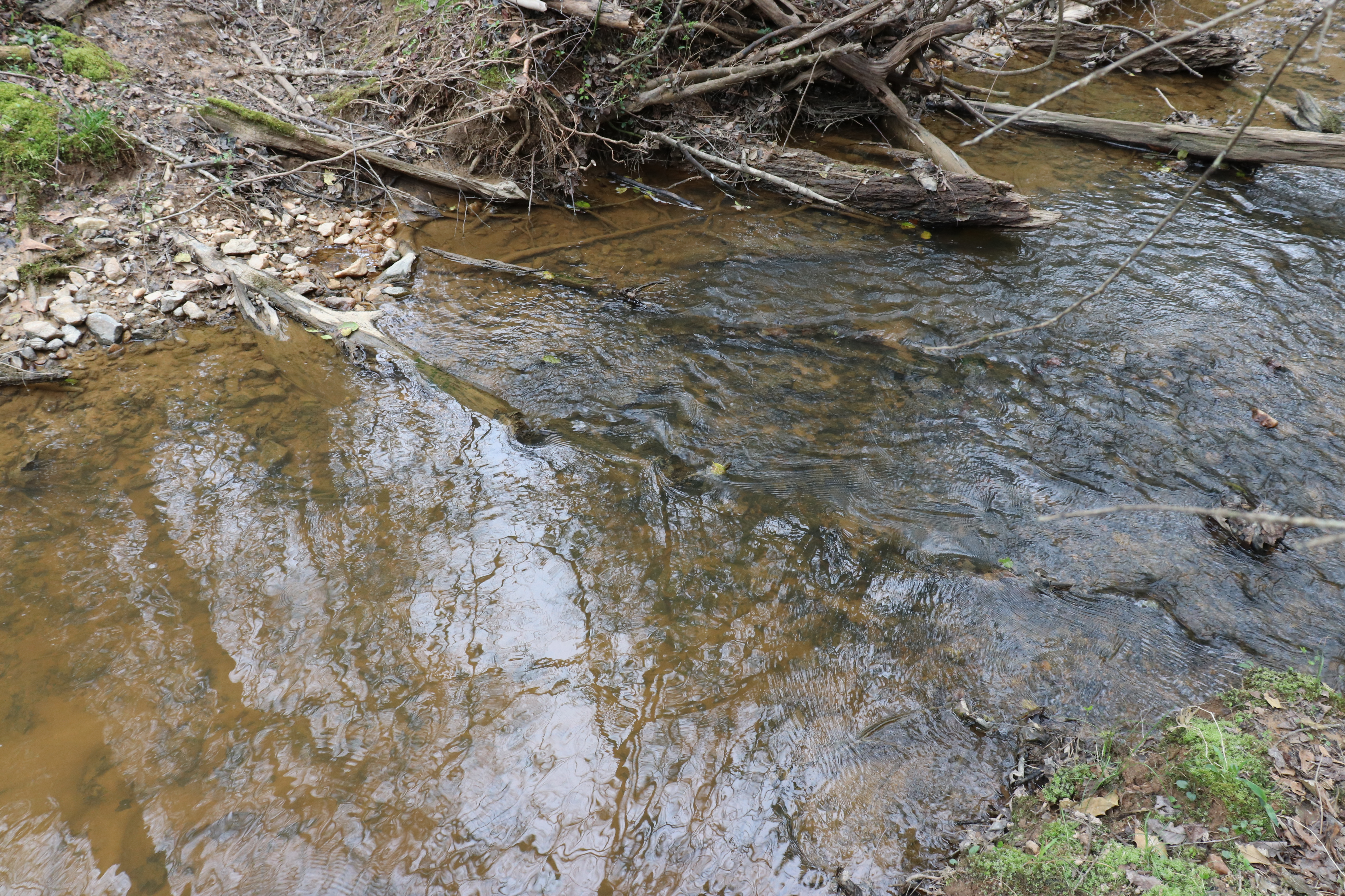 752531560 | Photo 13