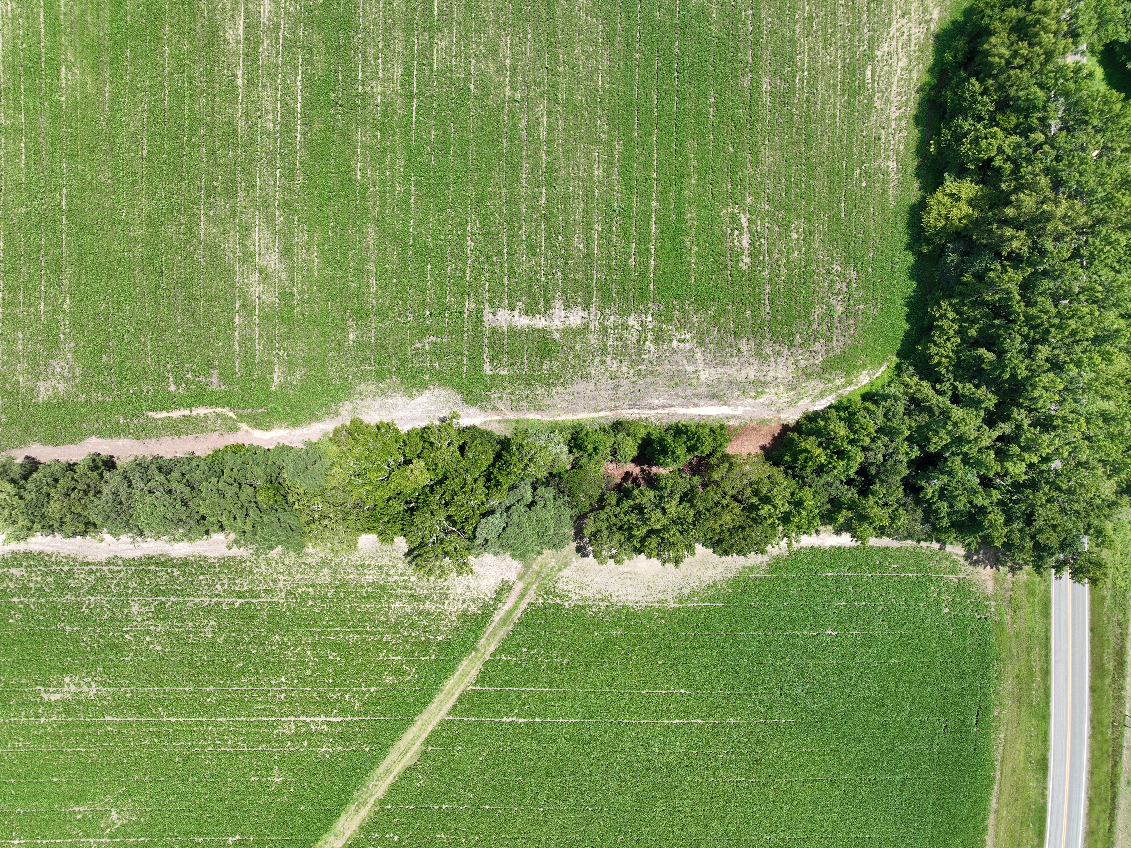 100522278 | Photo 12