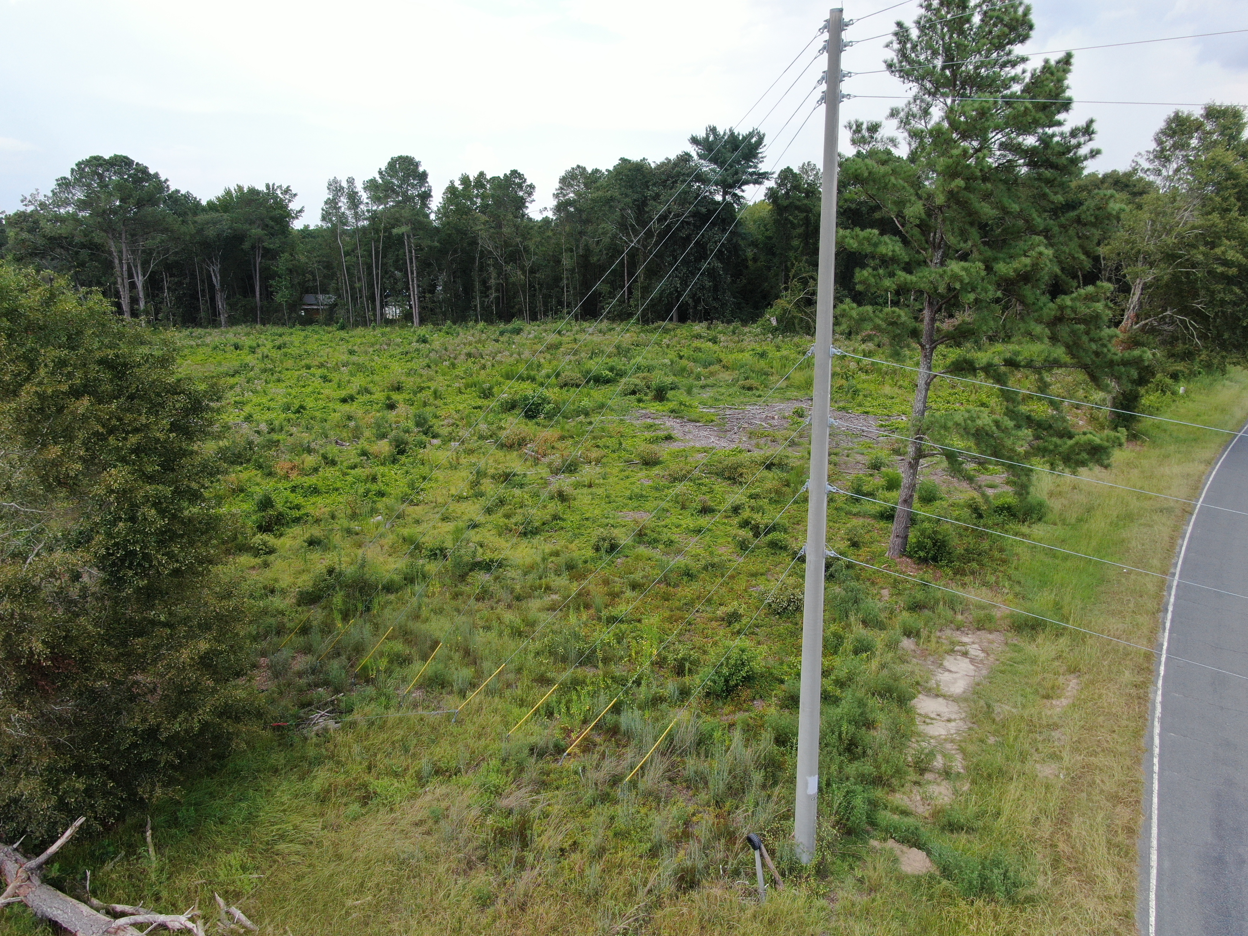 100600111 | Photo 2
