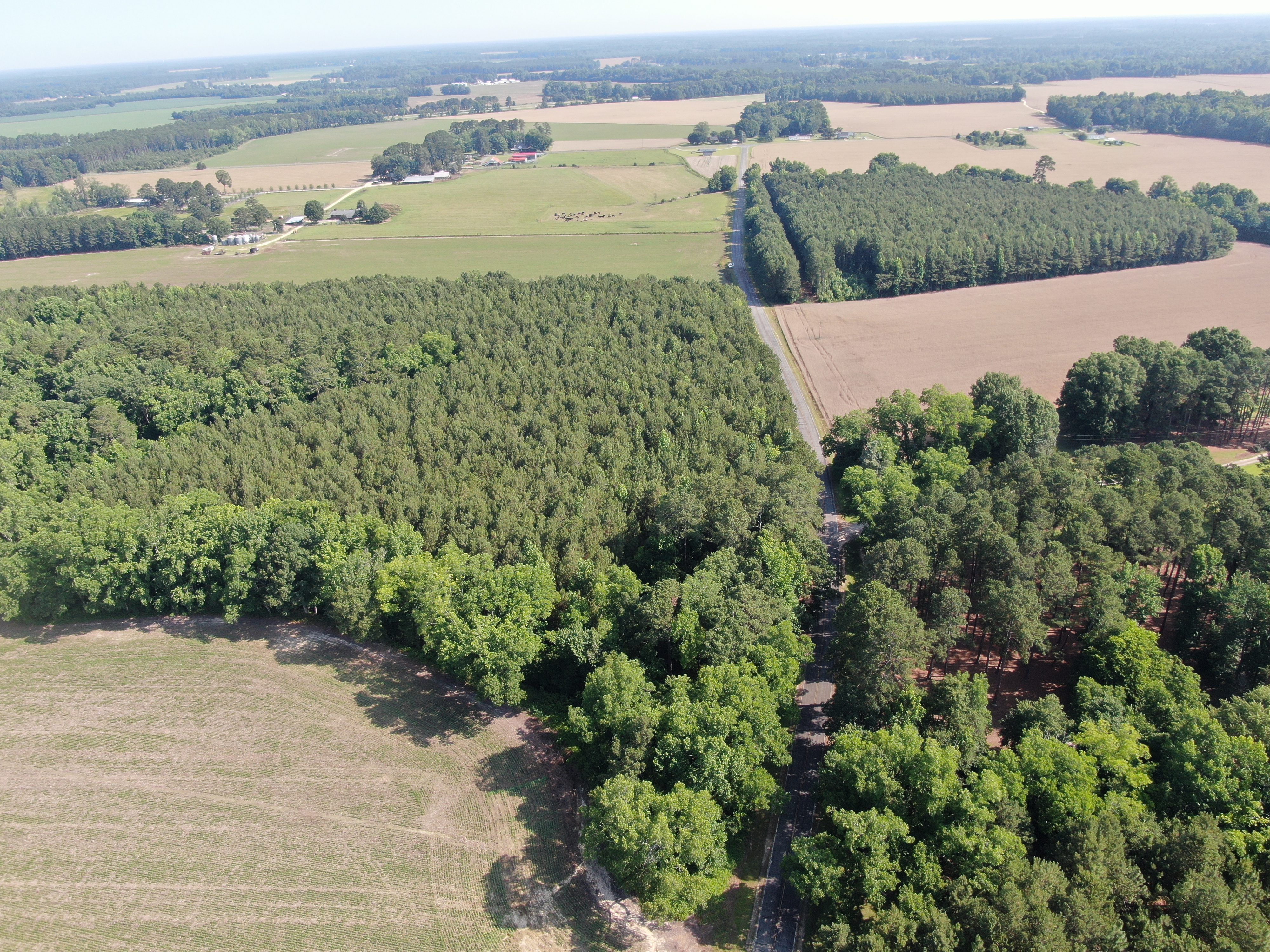 100520518 | Photo 16