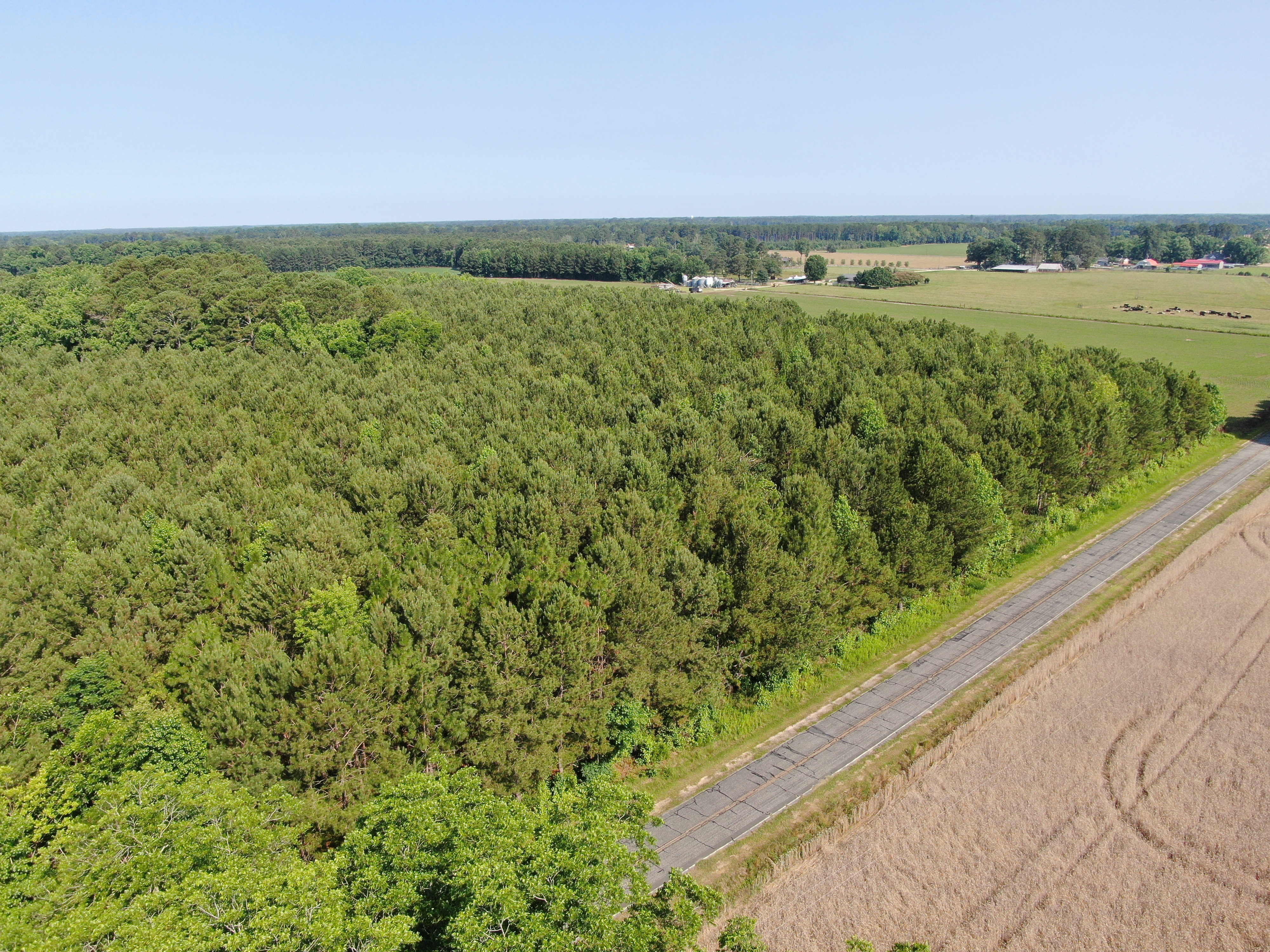 100520518 | Photo 17