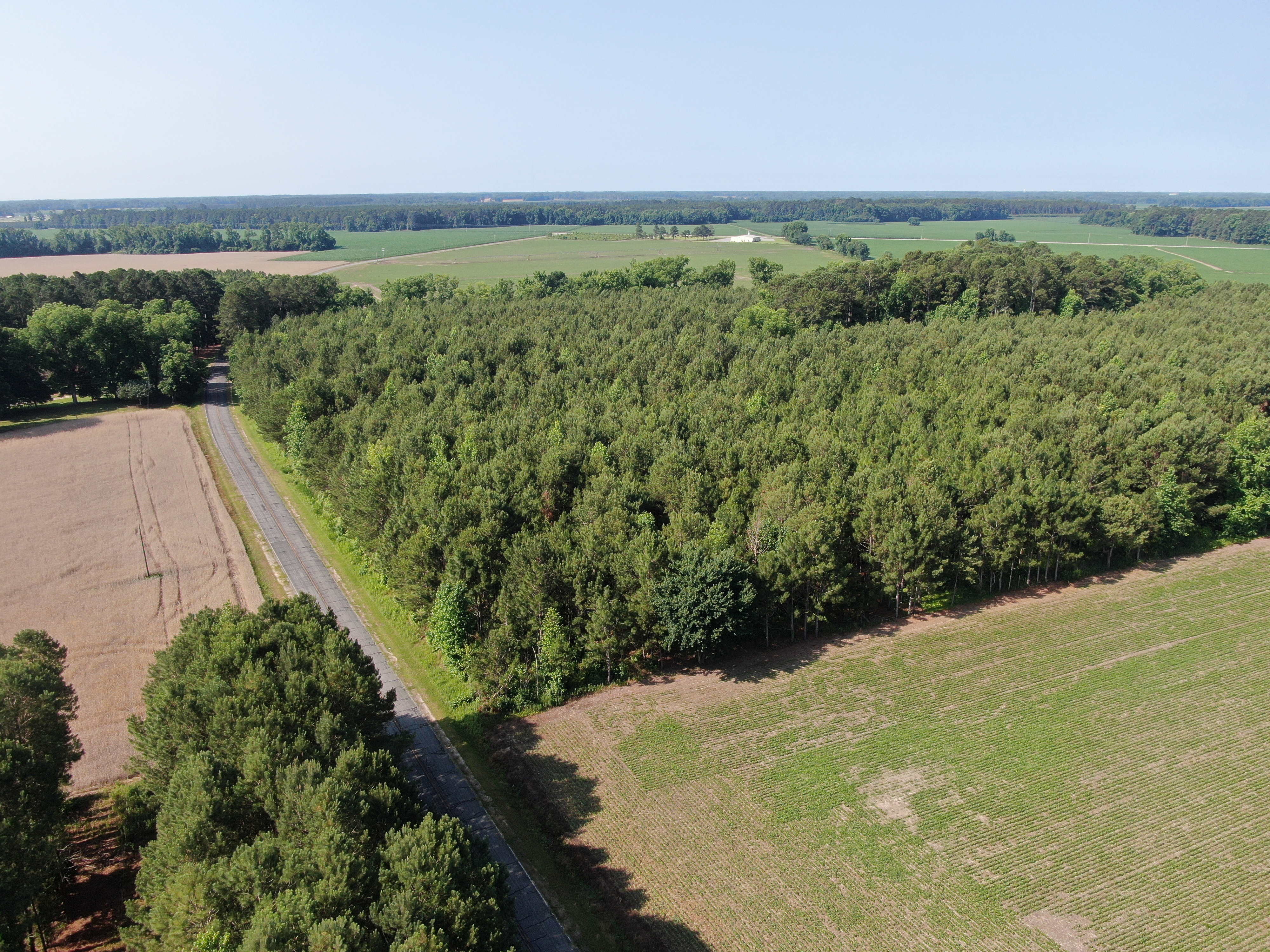 100520518 | Photo 18