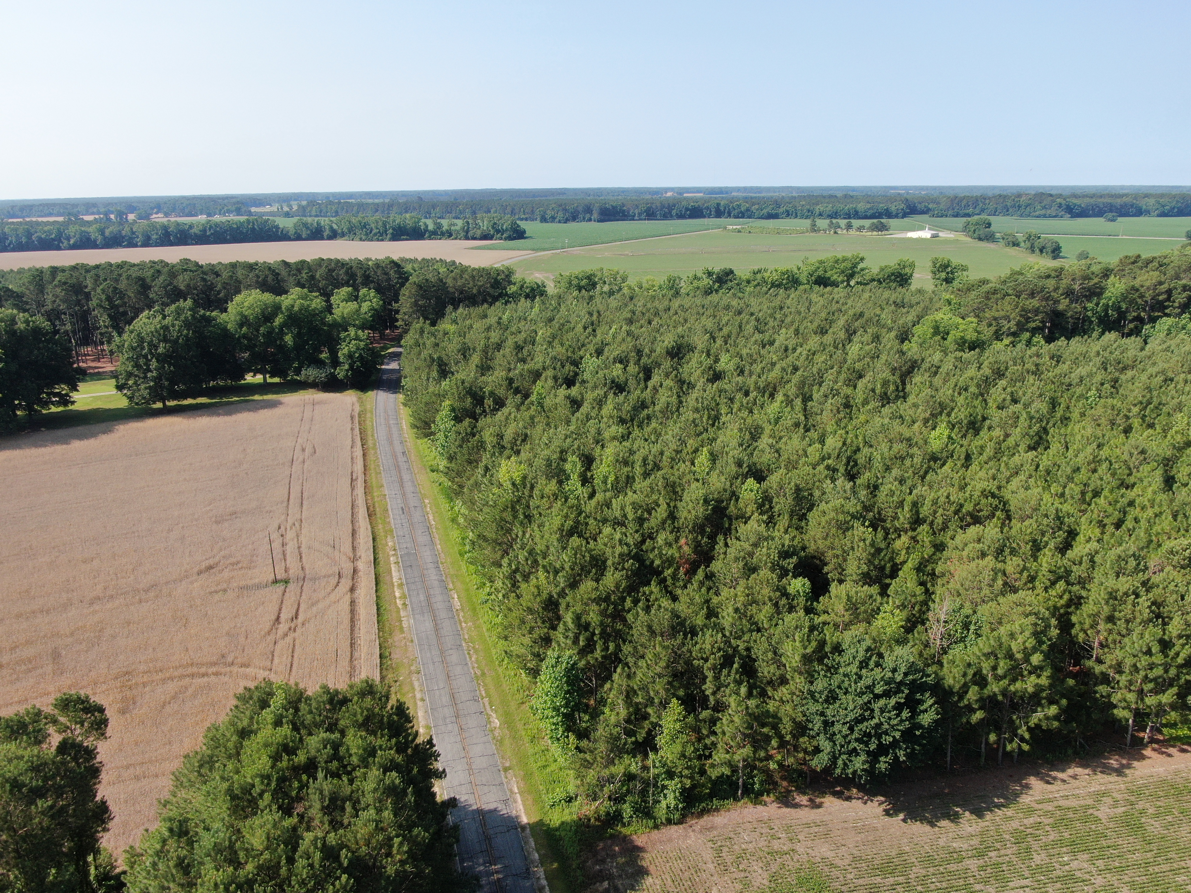 100520518 | Photo 19