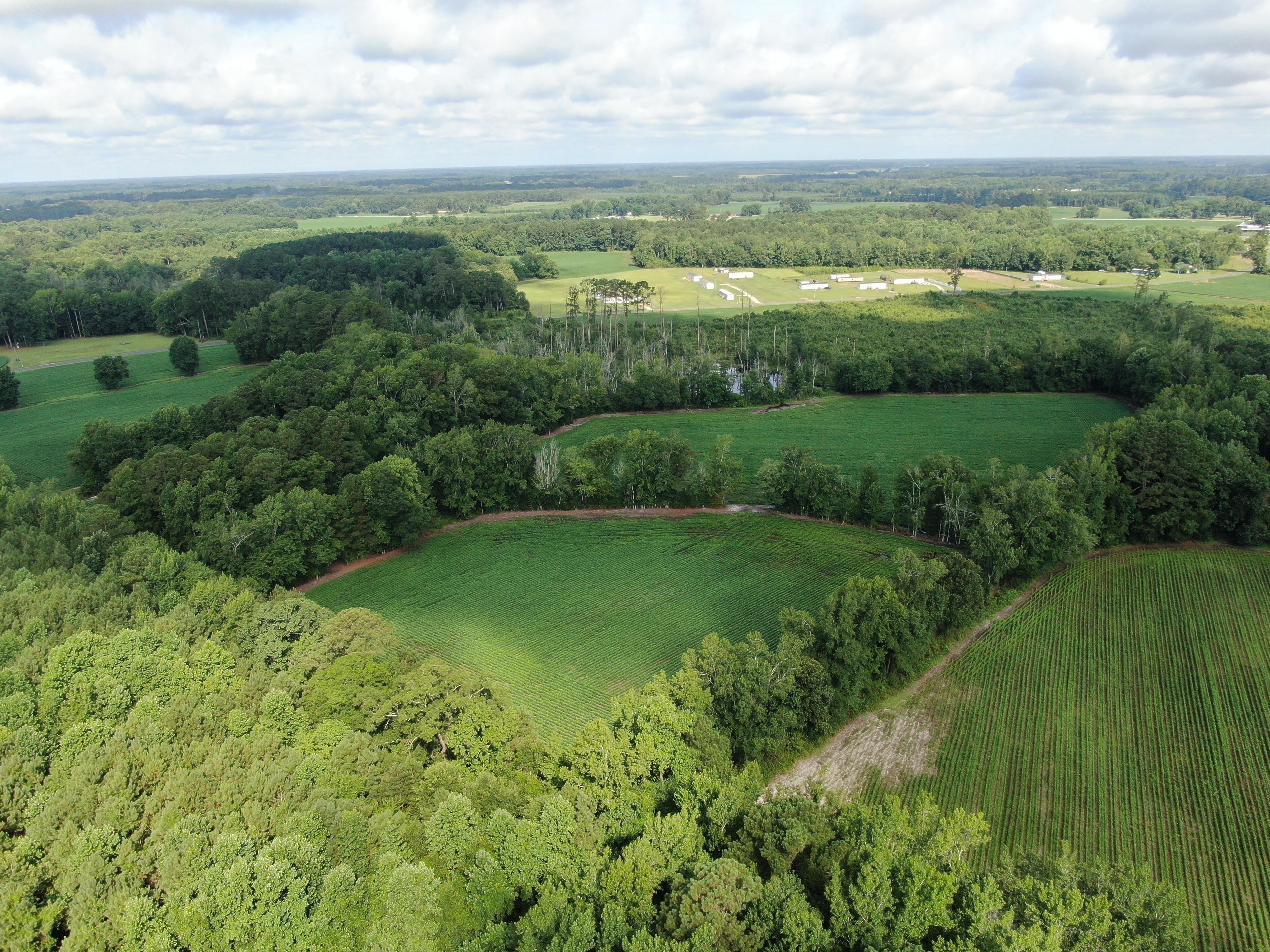 100518209 | Photo 10