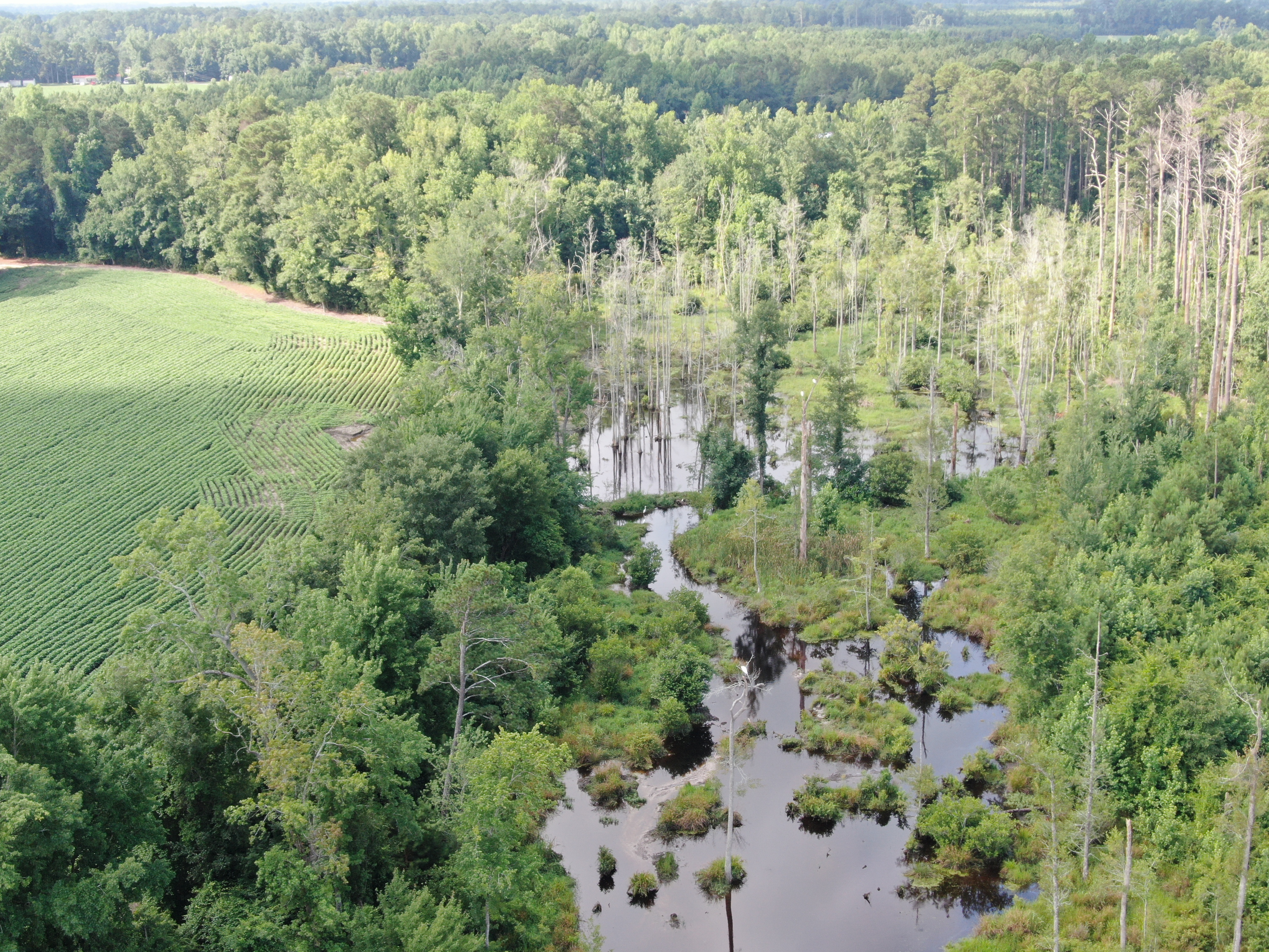 100518209 | Photo 12