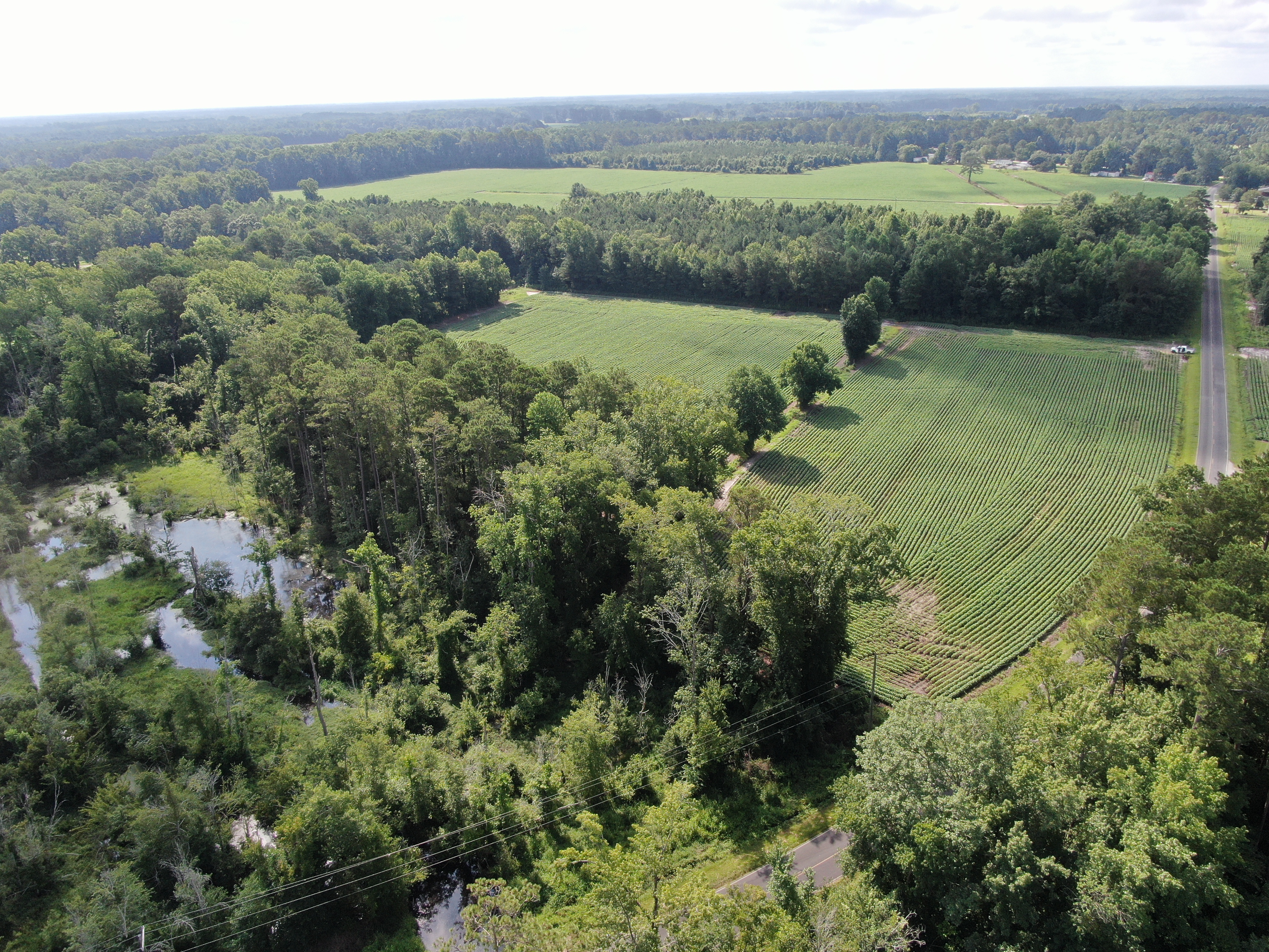 100518209 | Photo 13