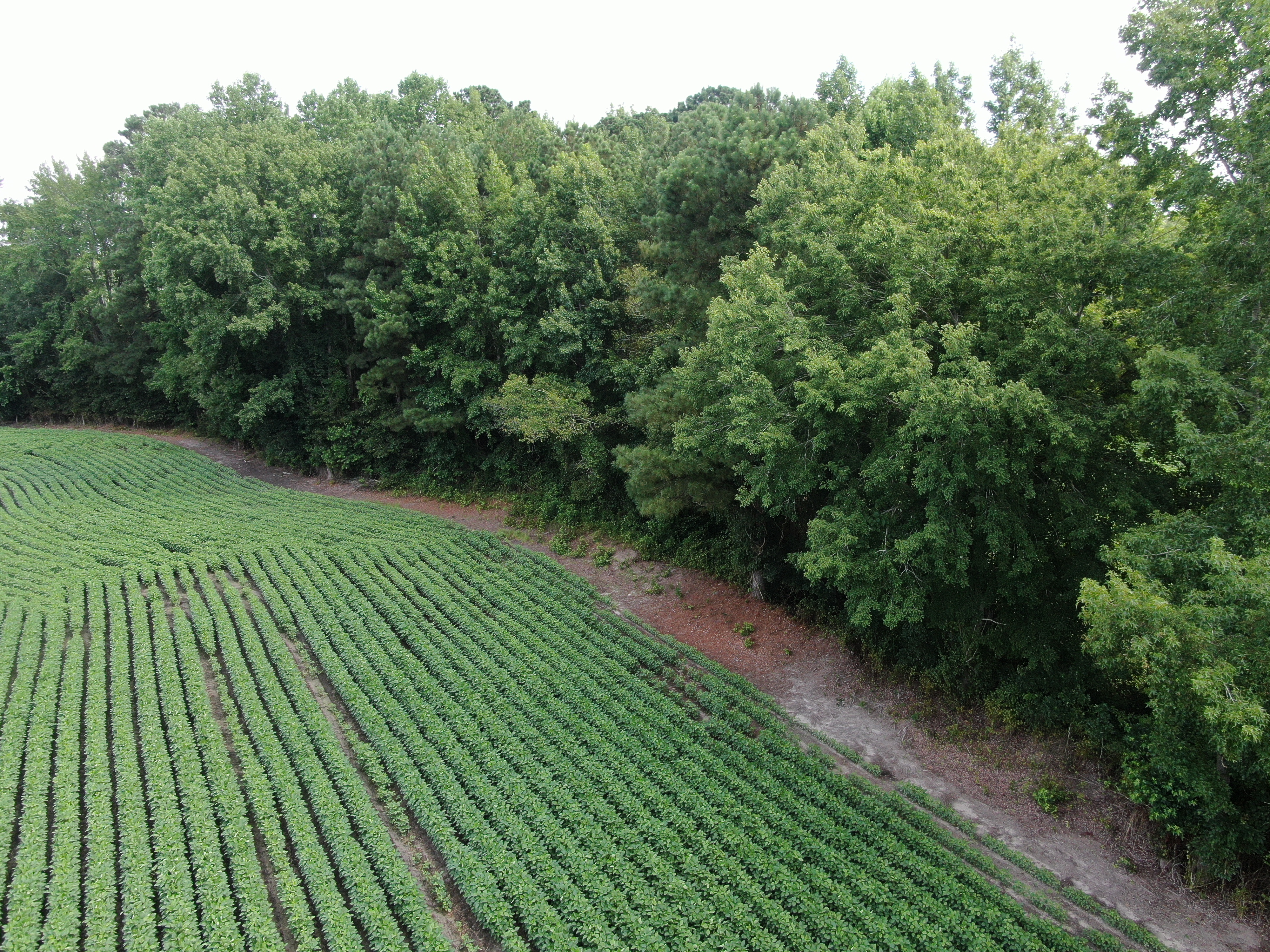 100518209 | Photo 14