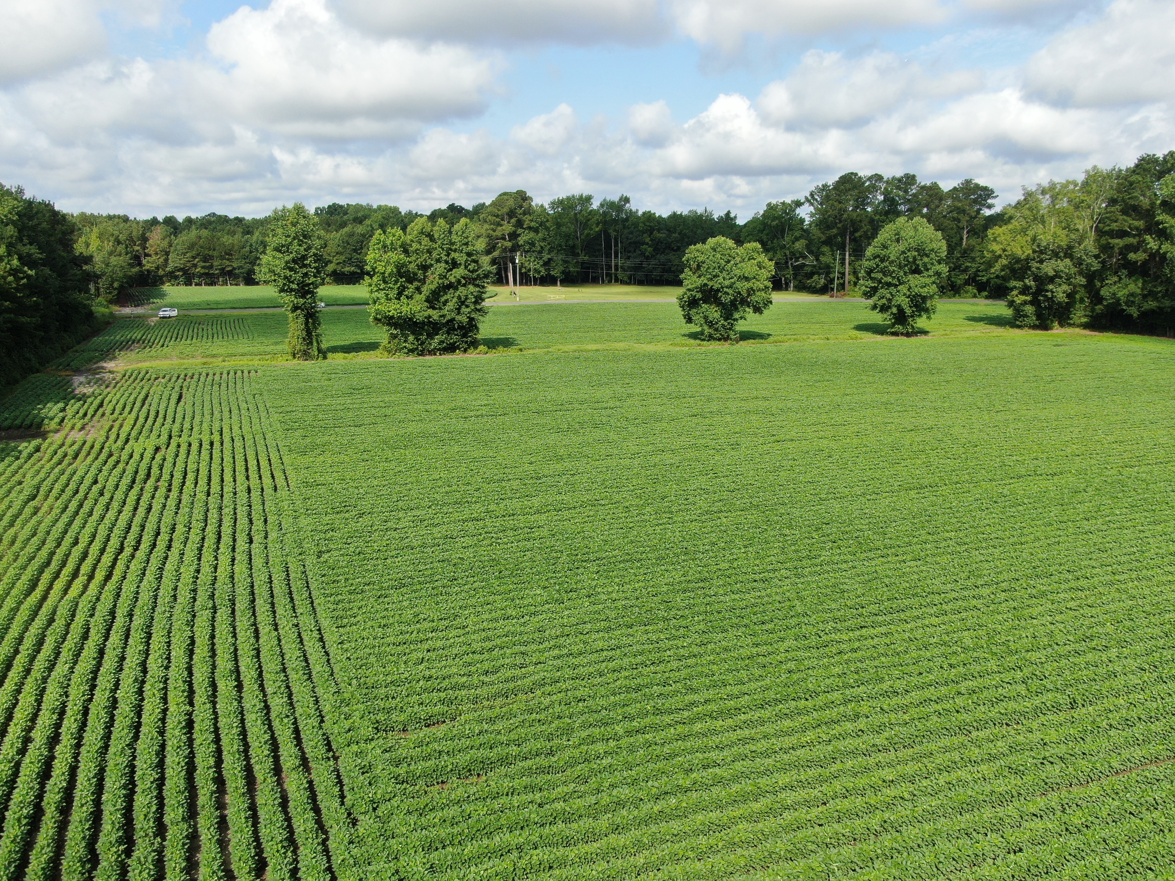 100518209 | Photo 15