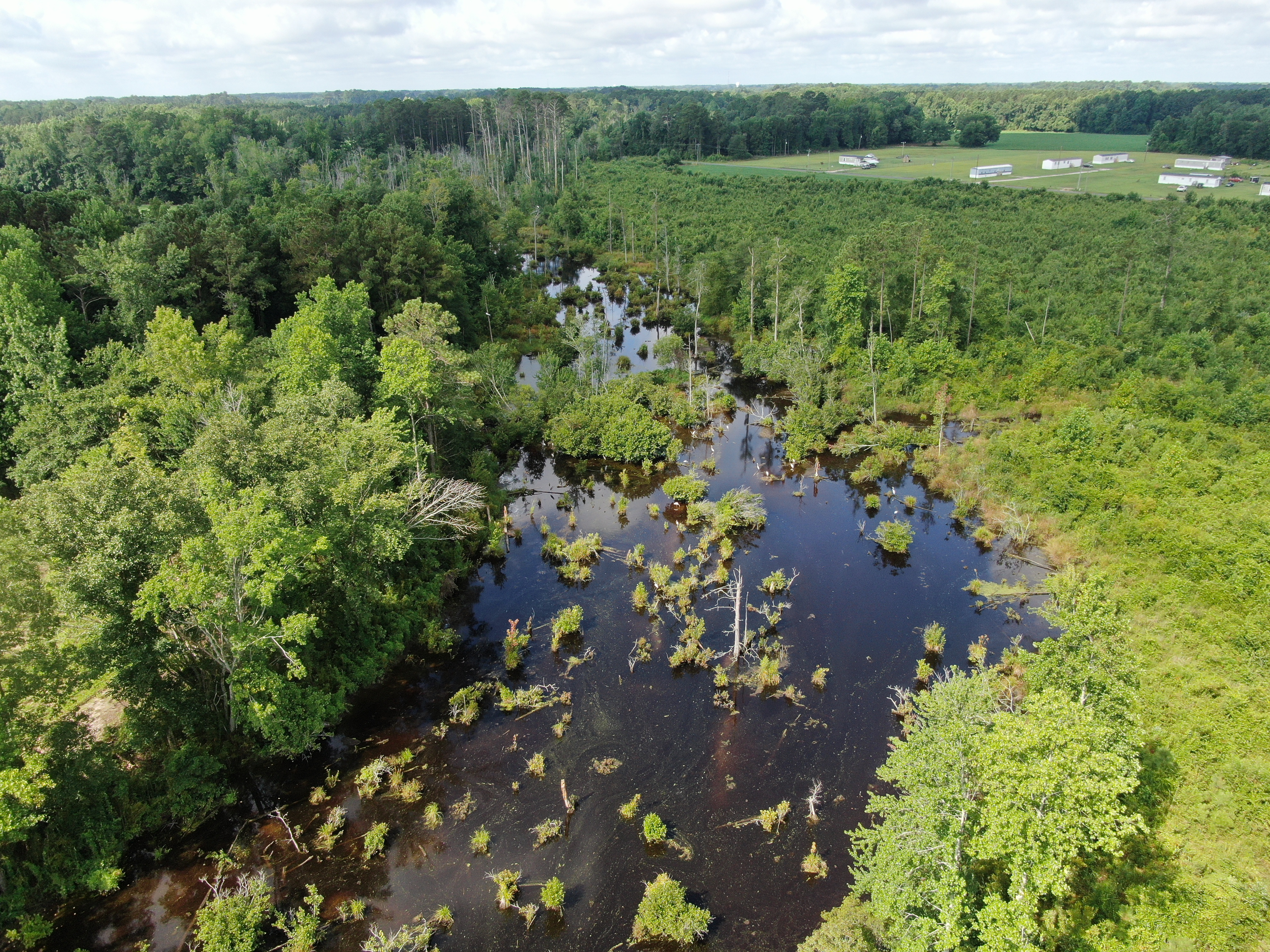 100518209 | Photo 16