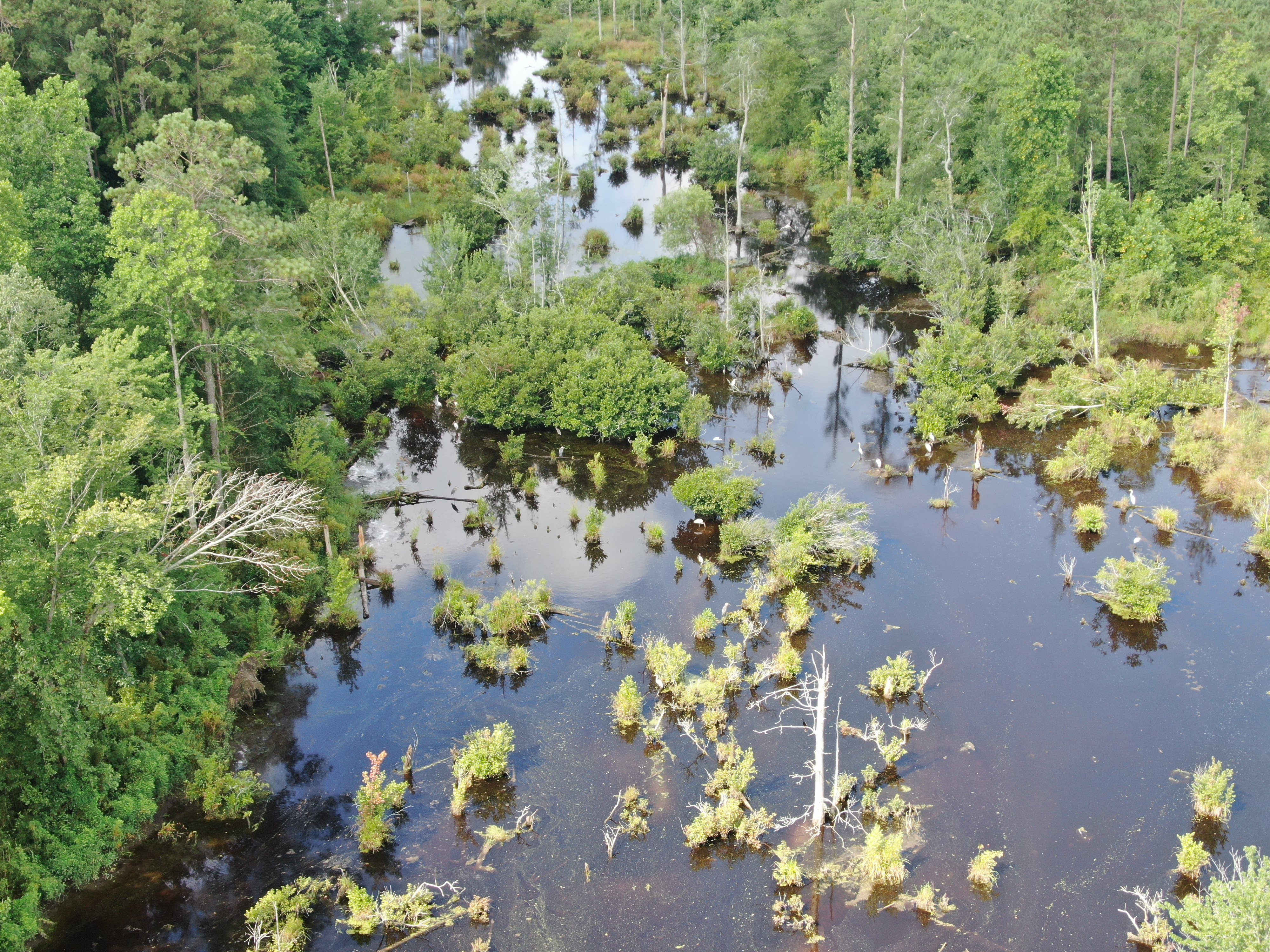 100518209 | Photo 17