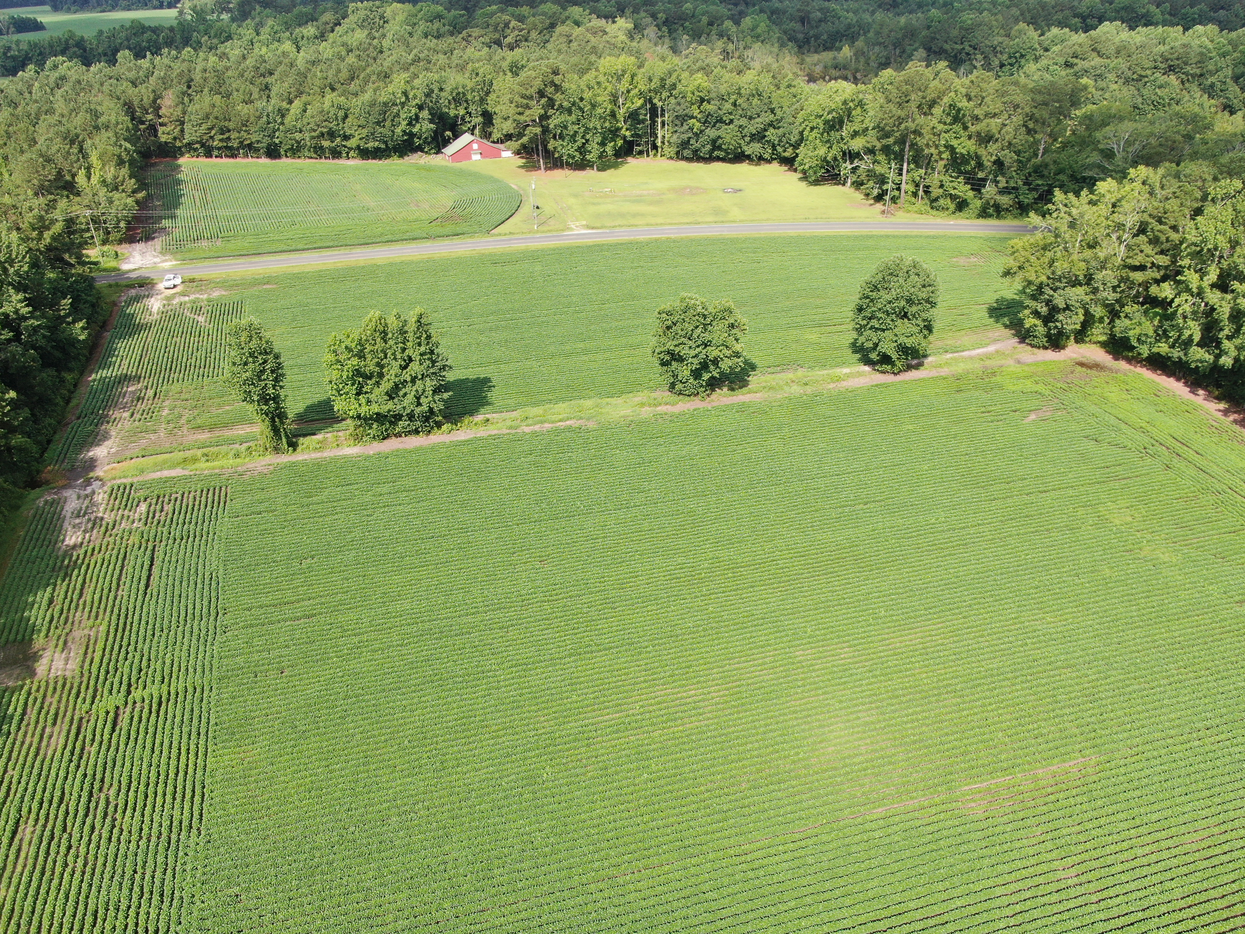 100518209 | Photo 18