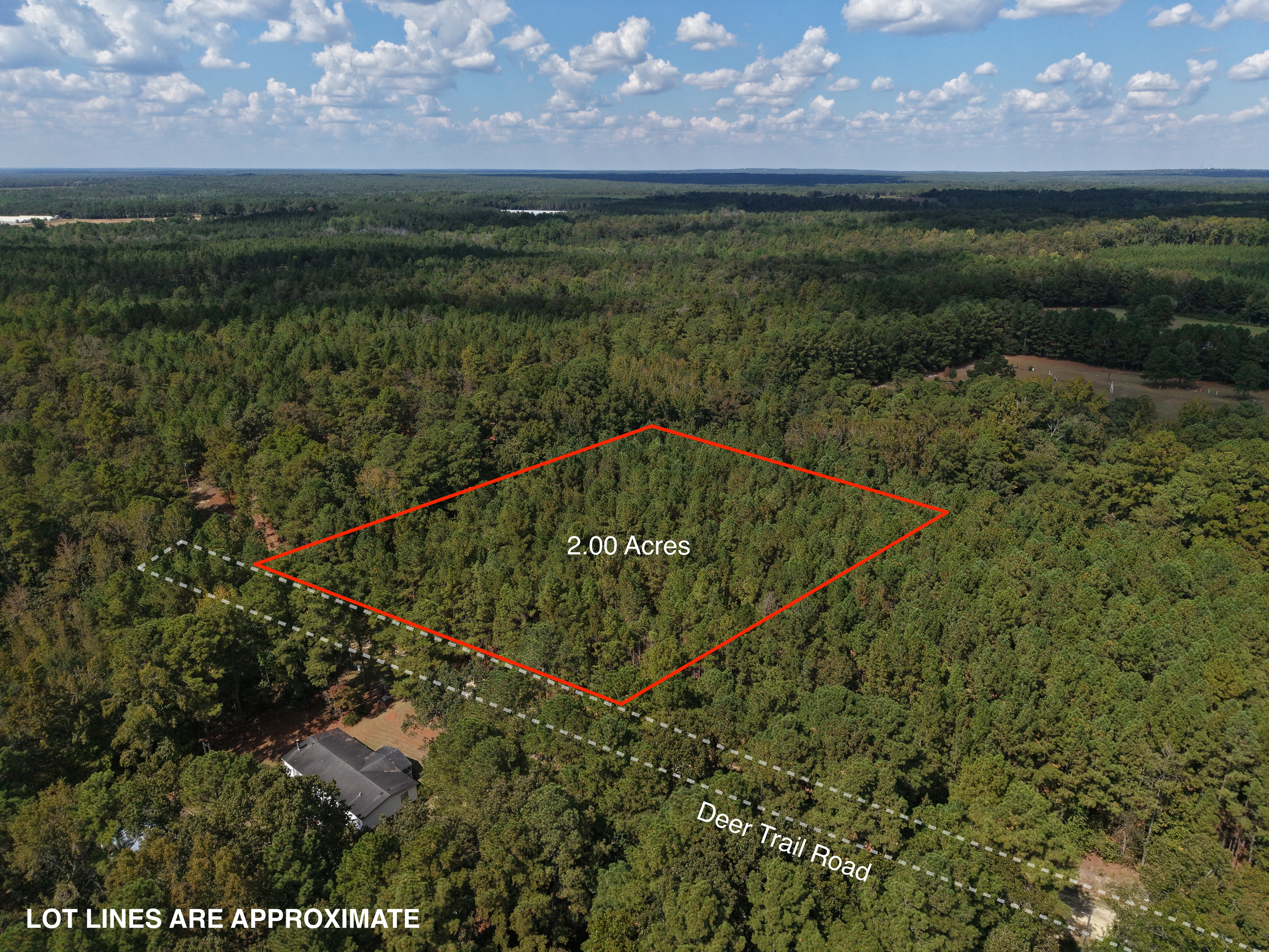 DB092925L40 | Photo 2