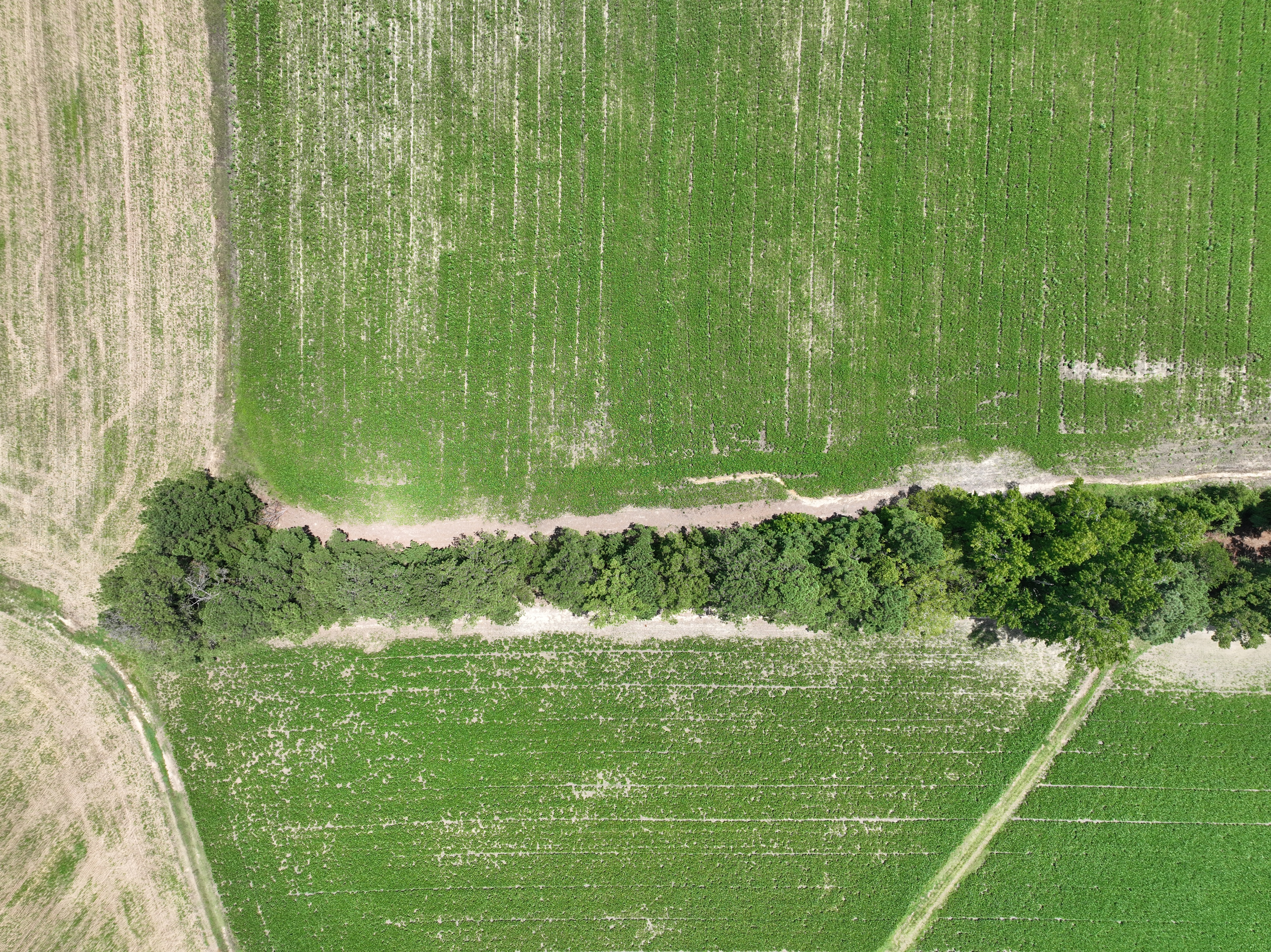 100522278 | Photo 11