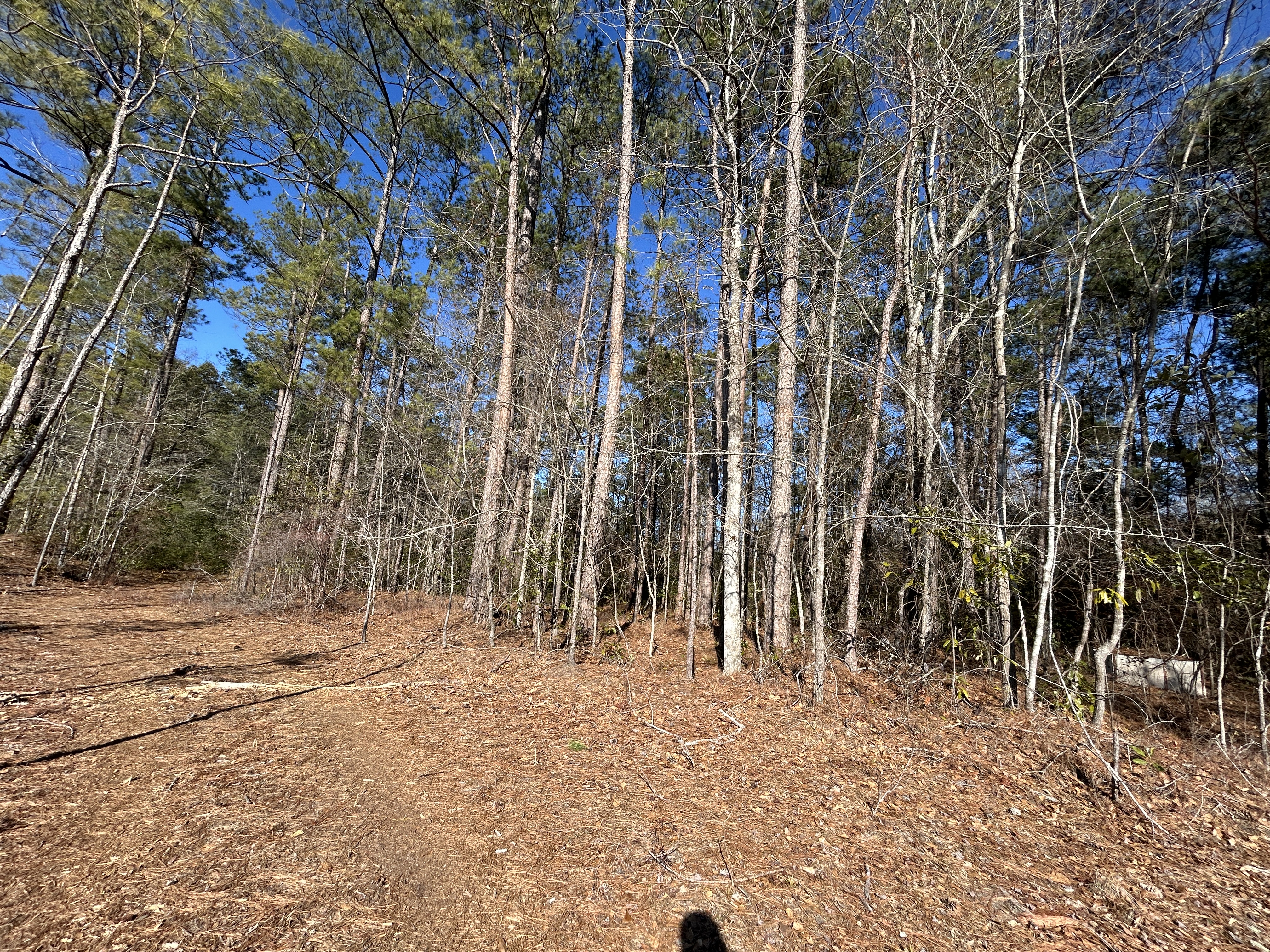 100482787 | Photo 10