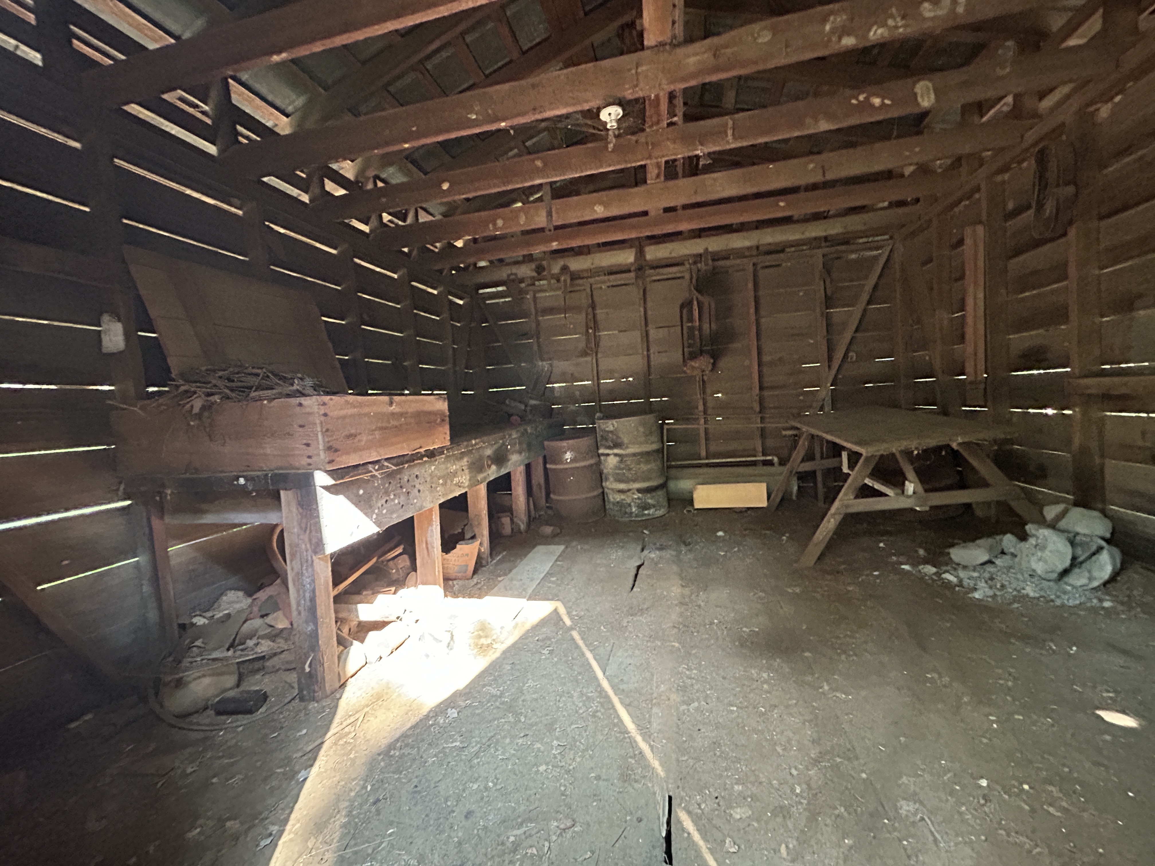 100520518 | Photo 11