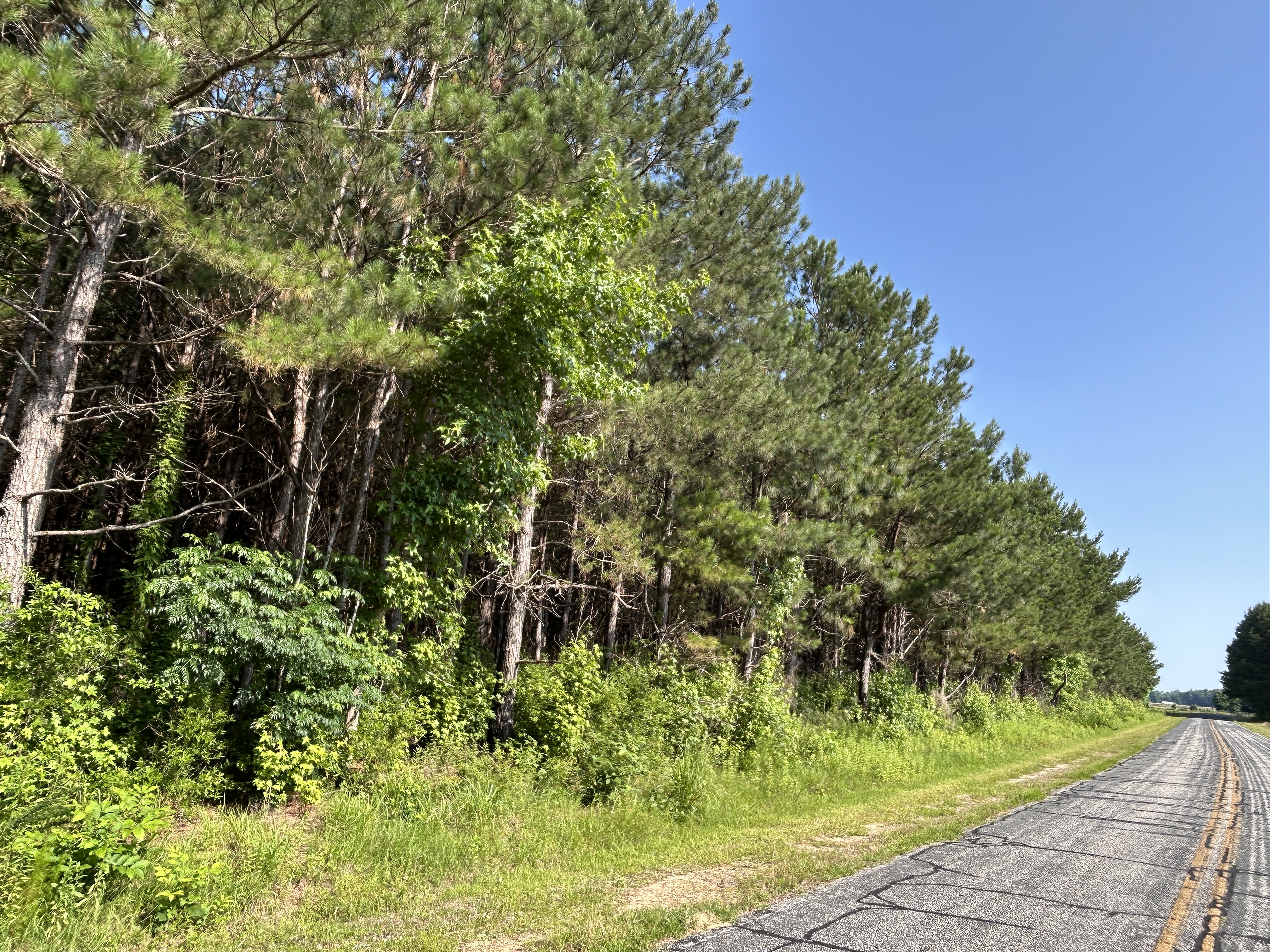 100520518 | Photo 13