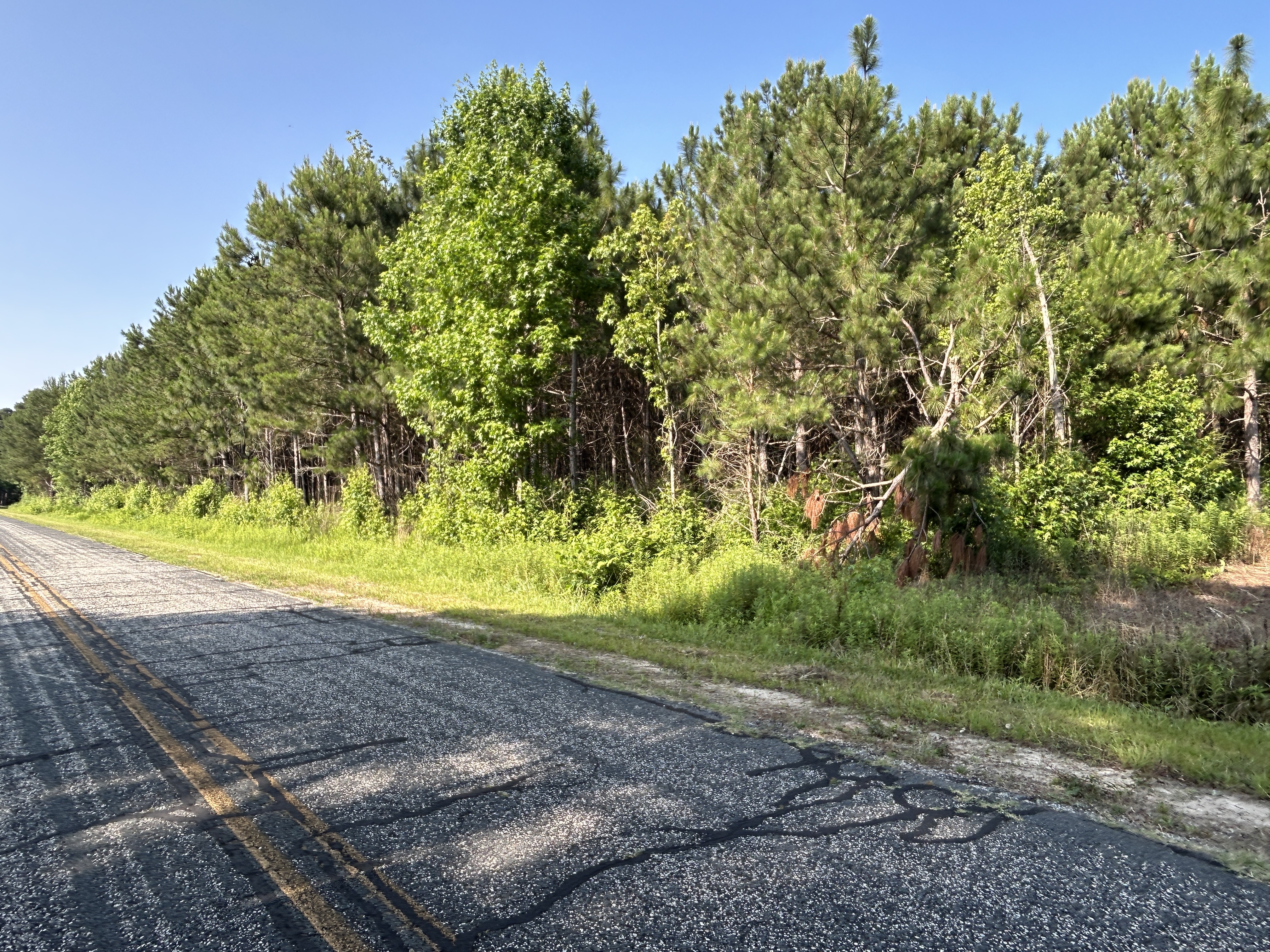 100520518 | Photo 14