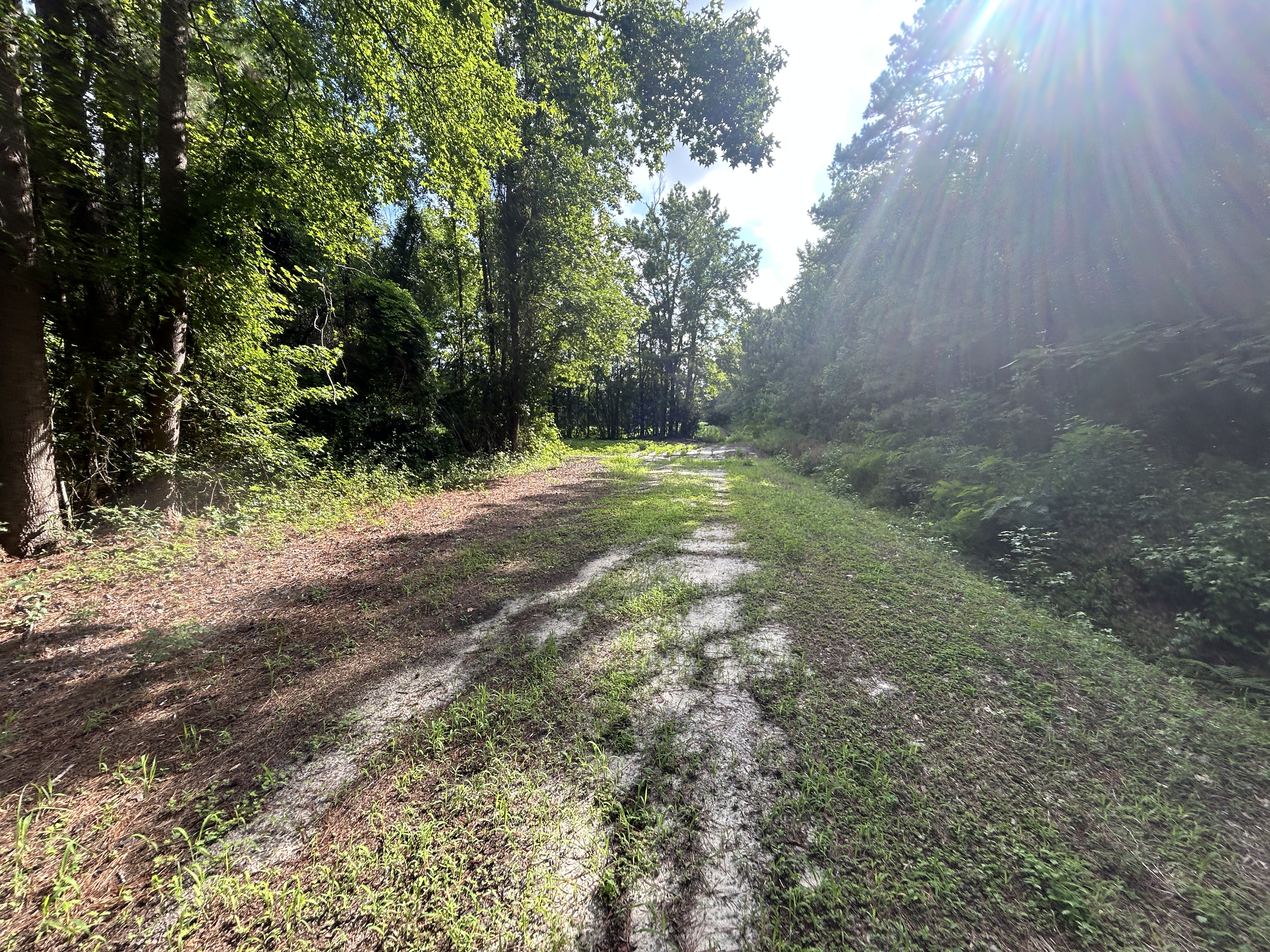 100518209 | Photo 20