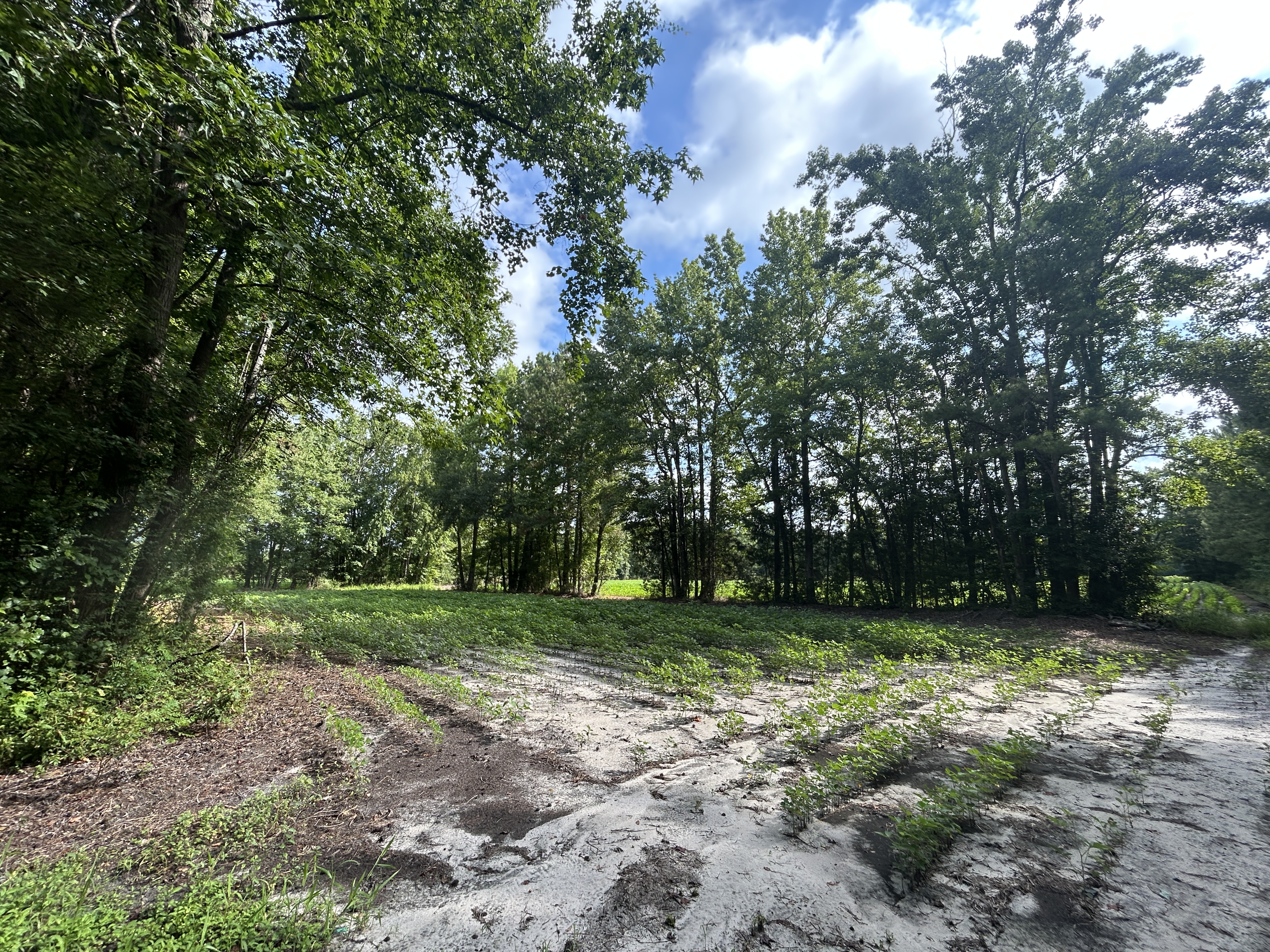 100518209 | Photo 21