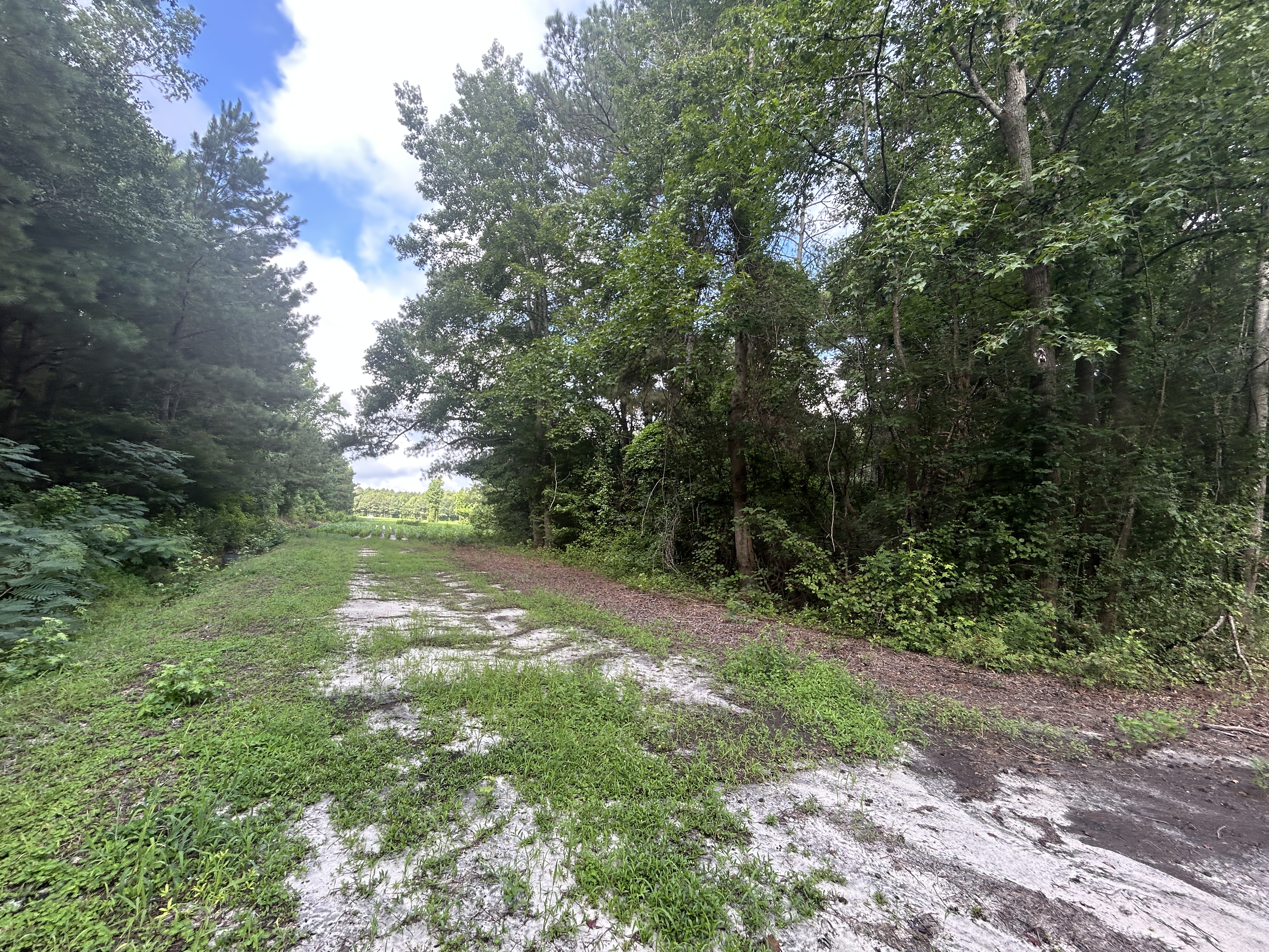 100518209 | Photo 22