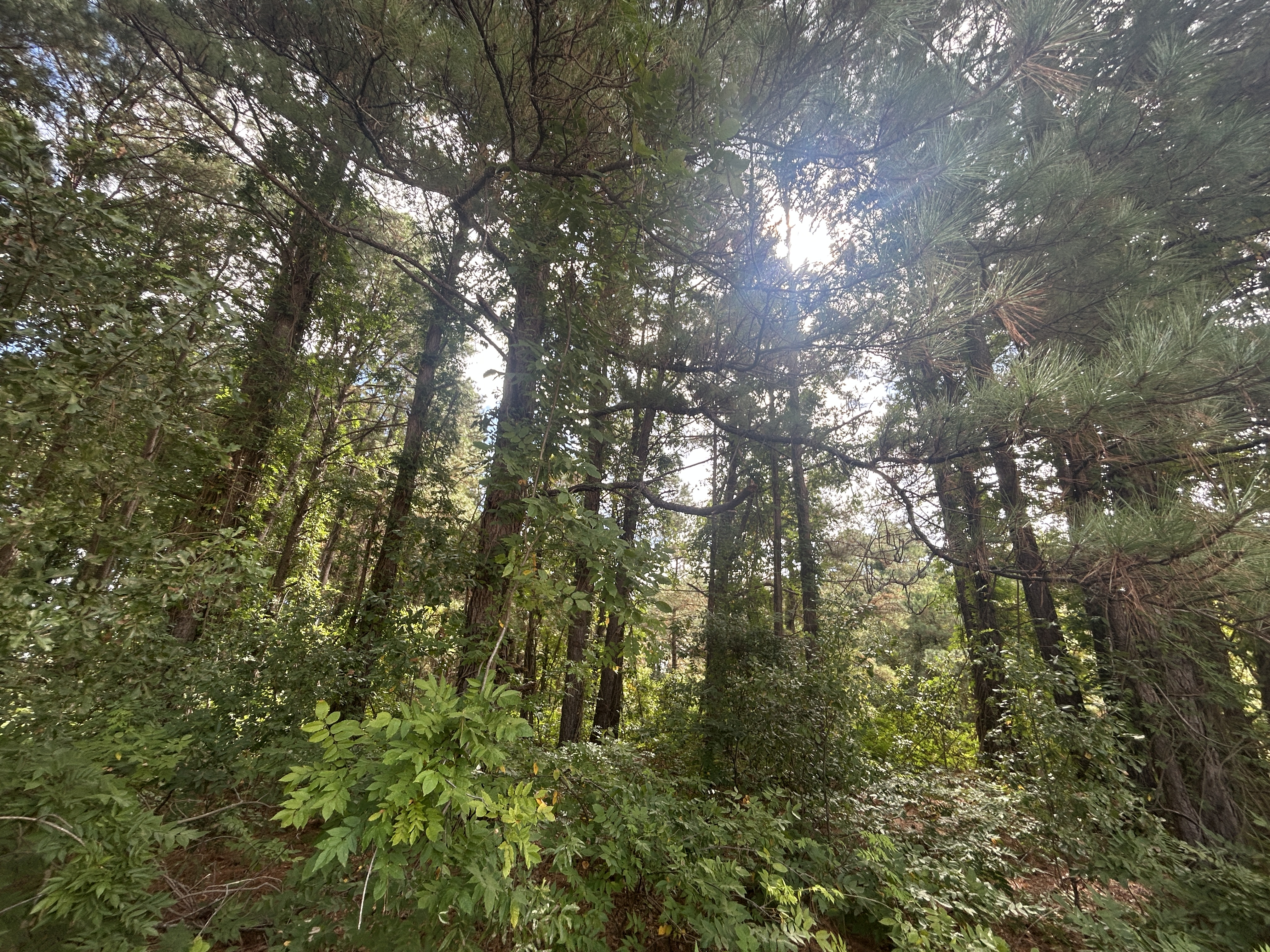 100534667 | Photo 10