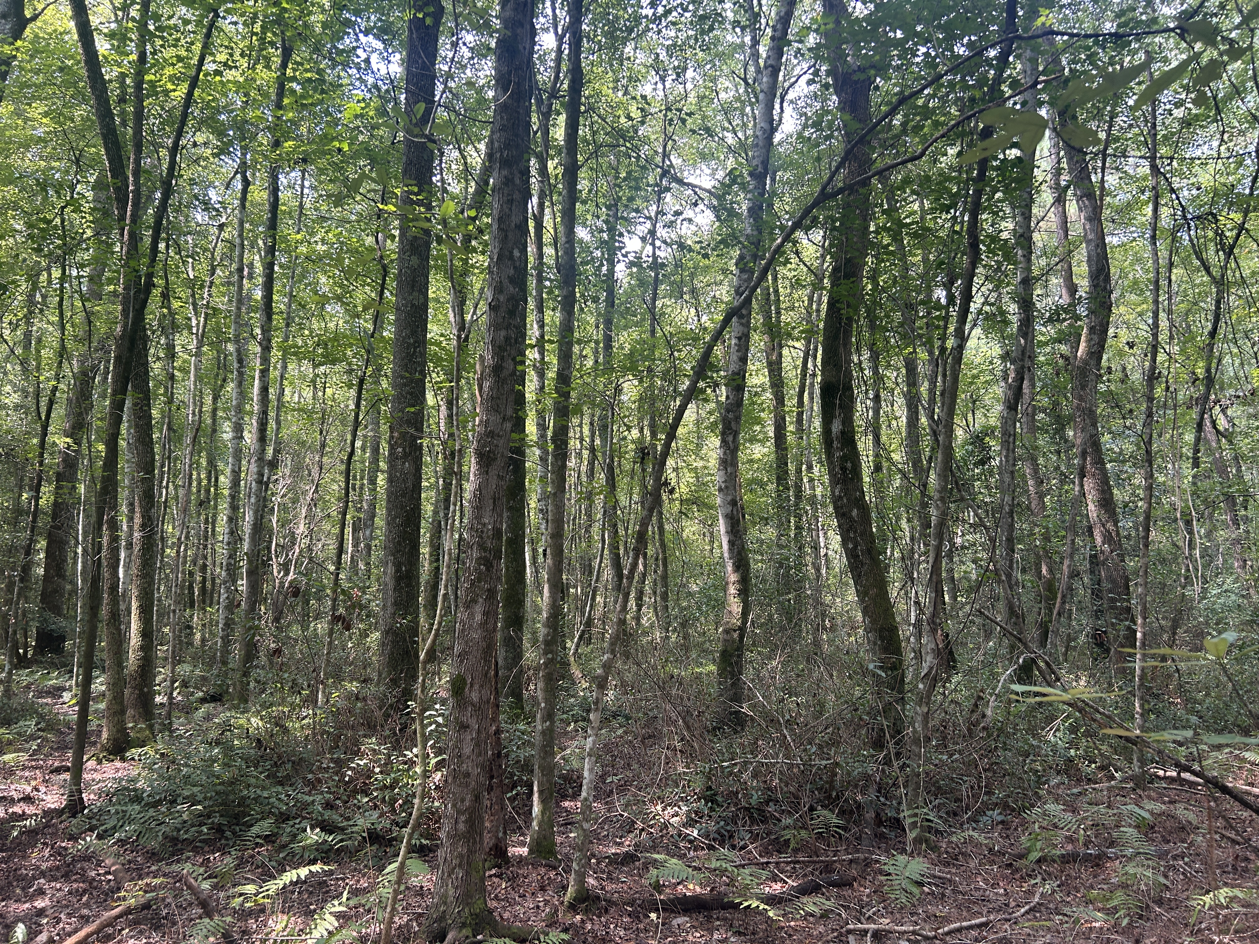 2622310 | Photo 24