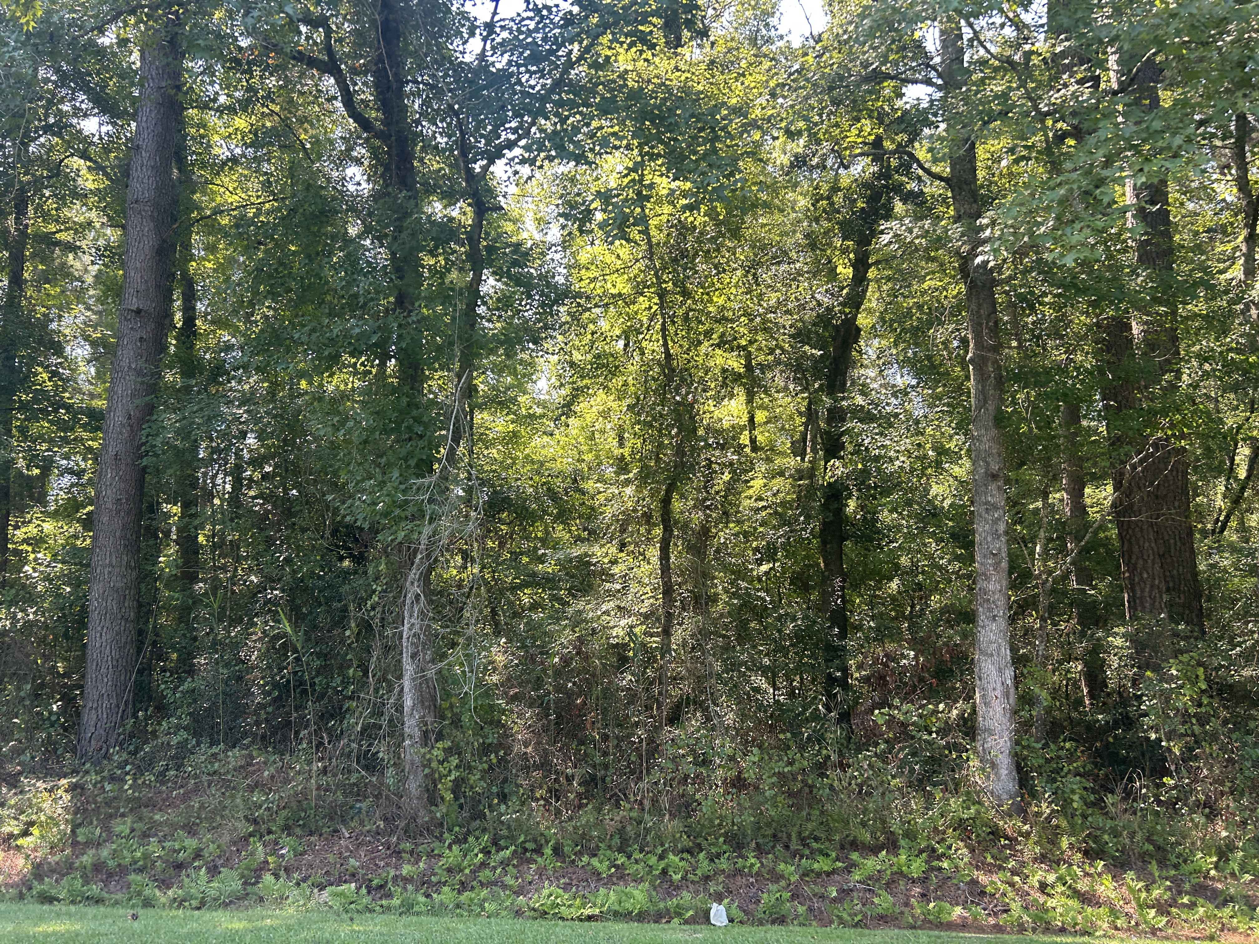 100603914 | Photo 27